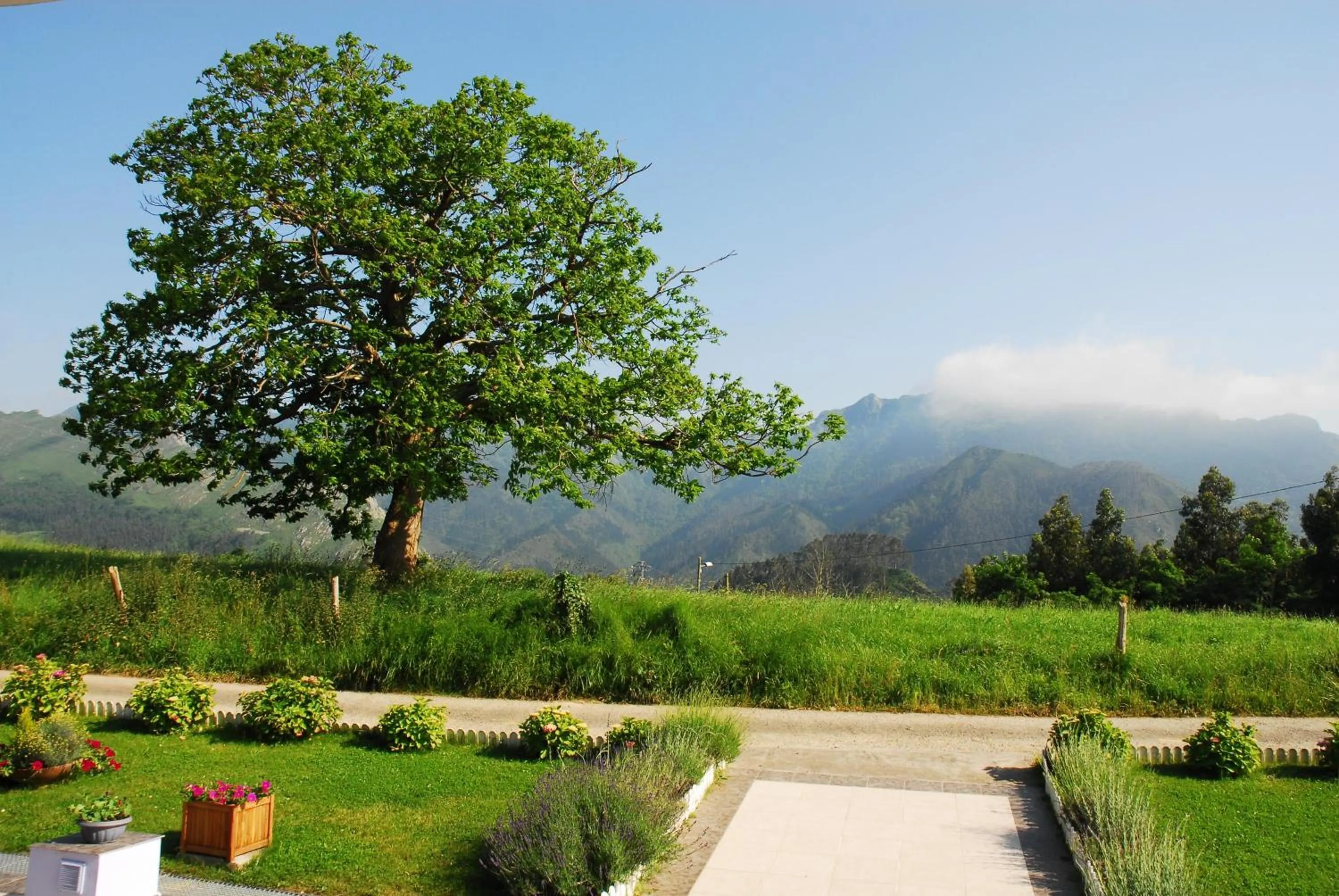 Facade/entrance in Hotel Mirador del Sella
