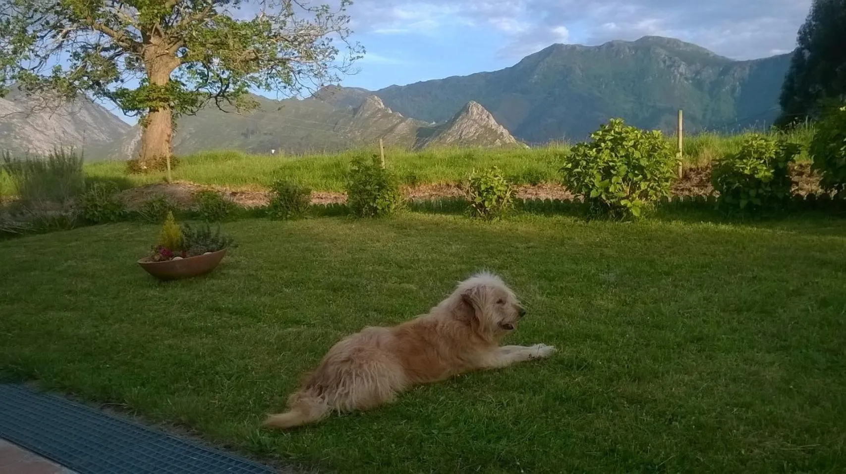 Garden in Hotel Mirador del Sella