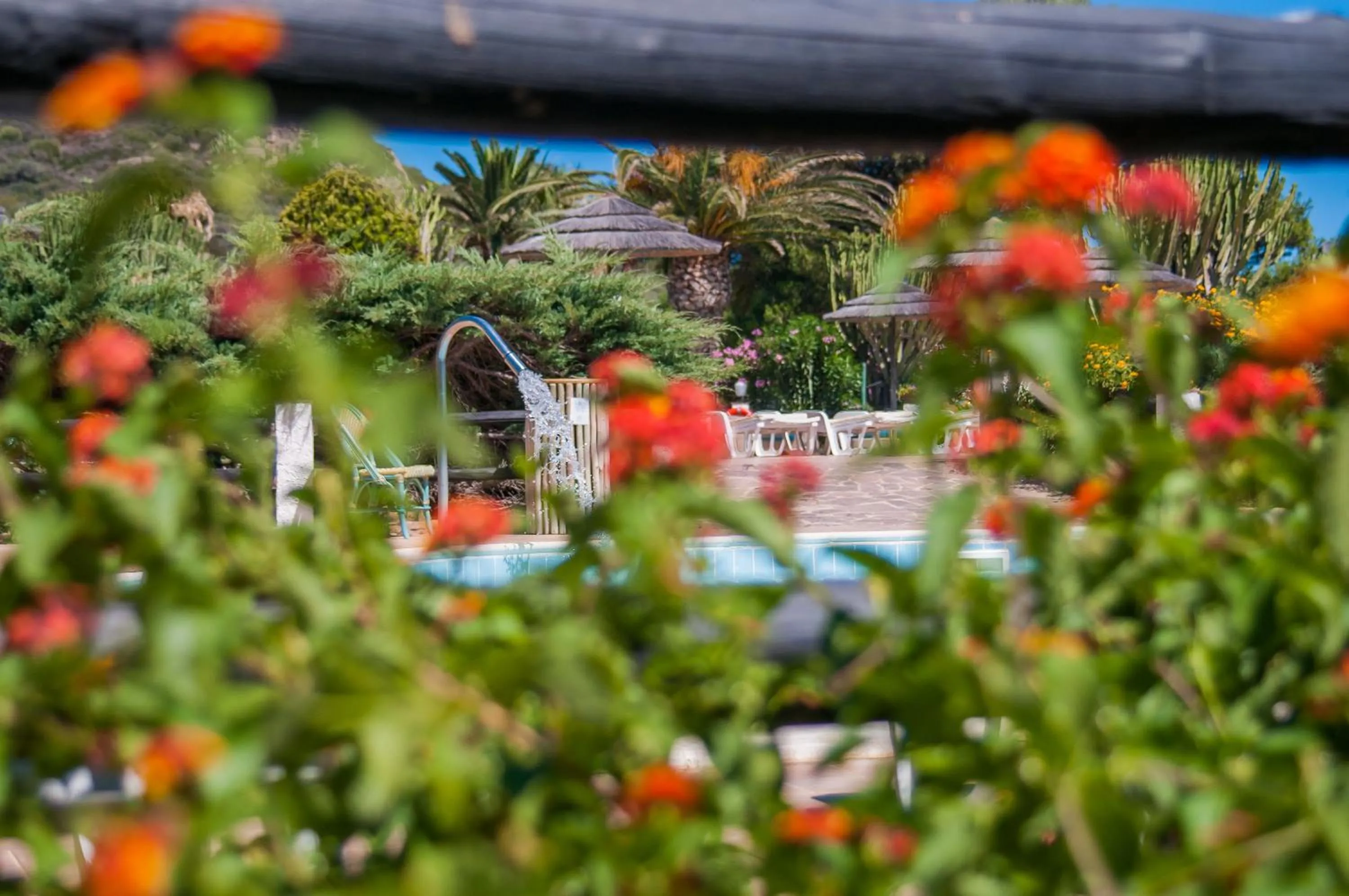 Other in Cormoran Hotel & Residence