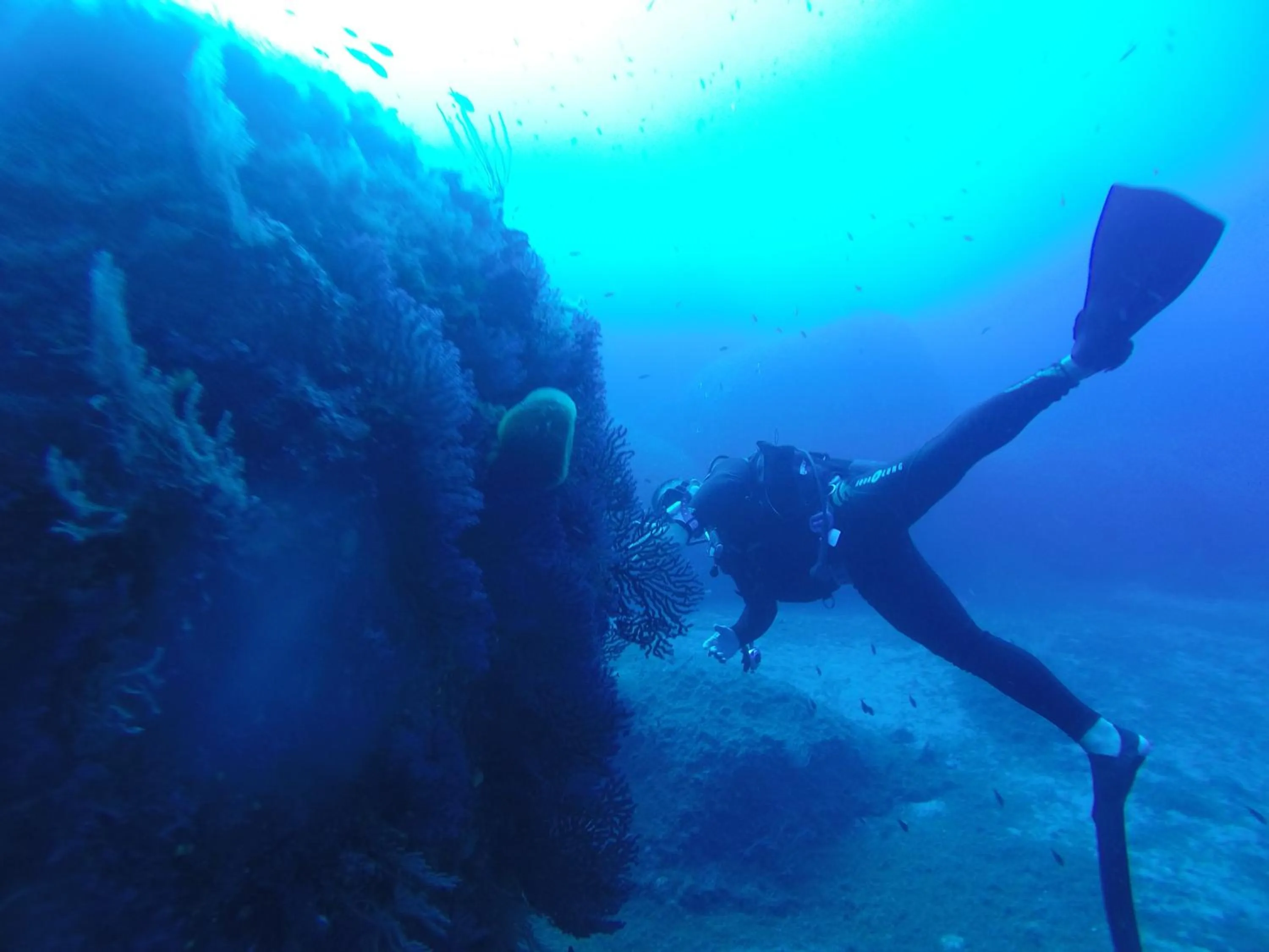Snorkeling in Cormoran Hotel & Residence