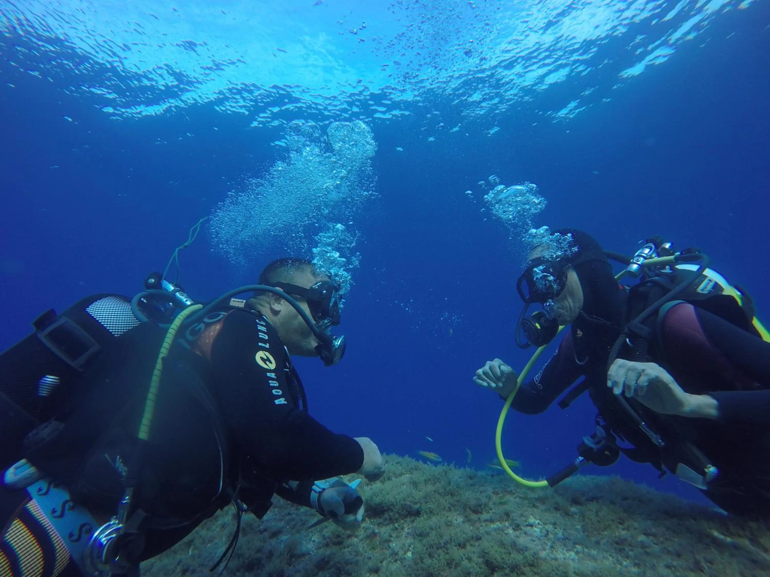 Snorkeling in Cormoran Hotel & Residence