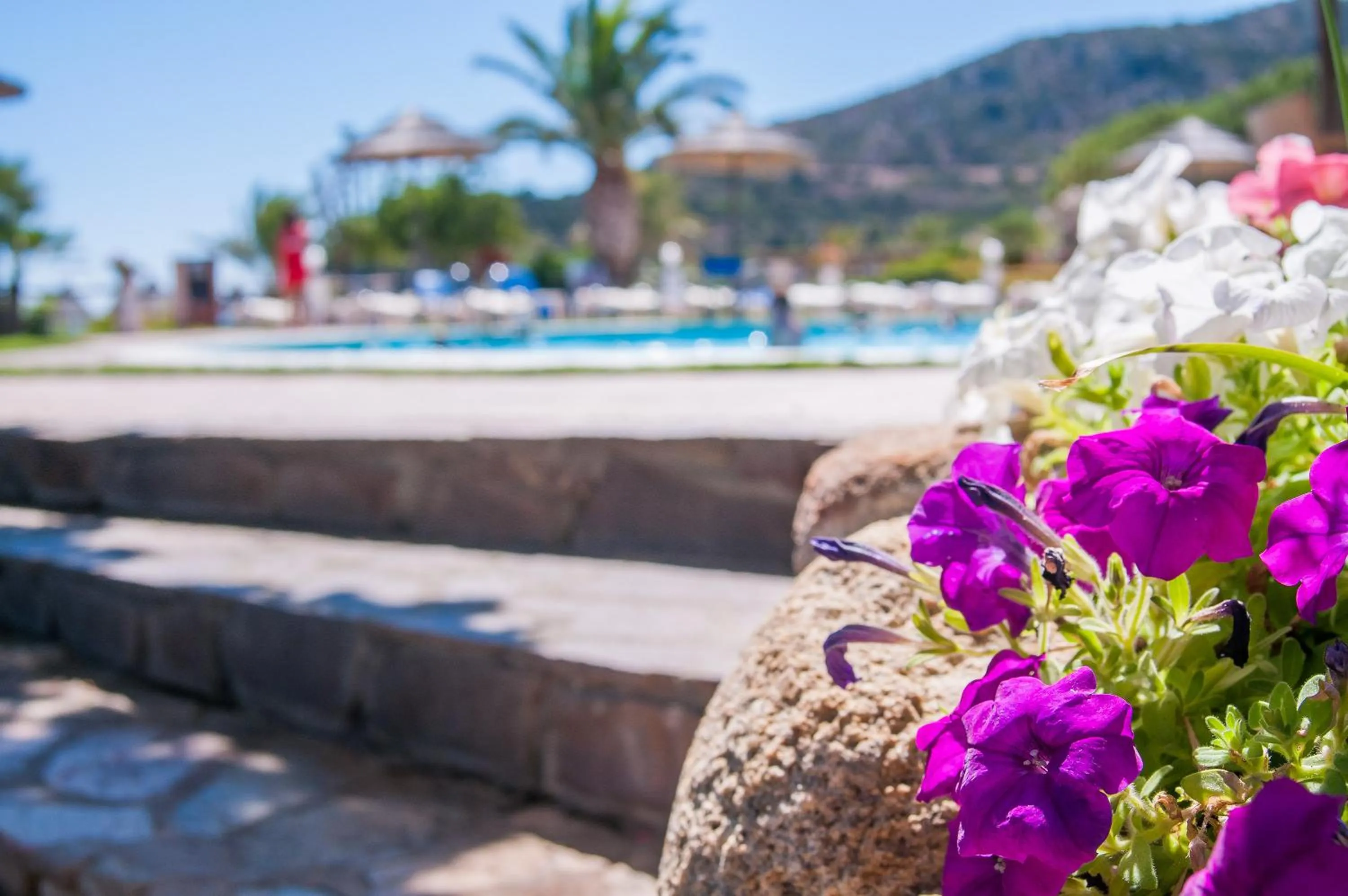 Day in Cormoran Hotel & Residence