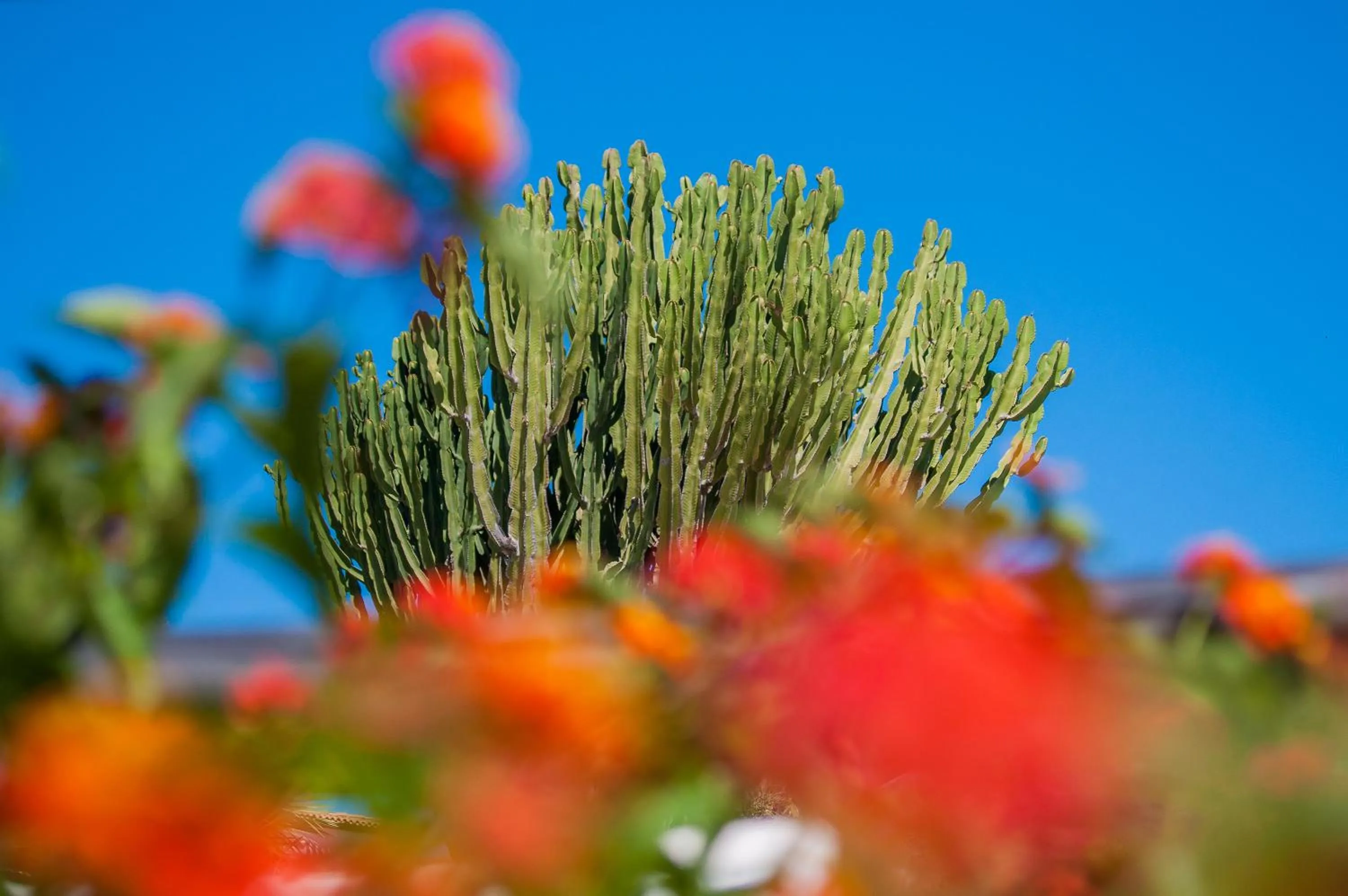 Natural landscape in Cormoran Hotel & Residence