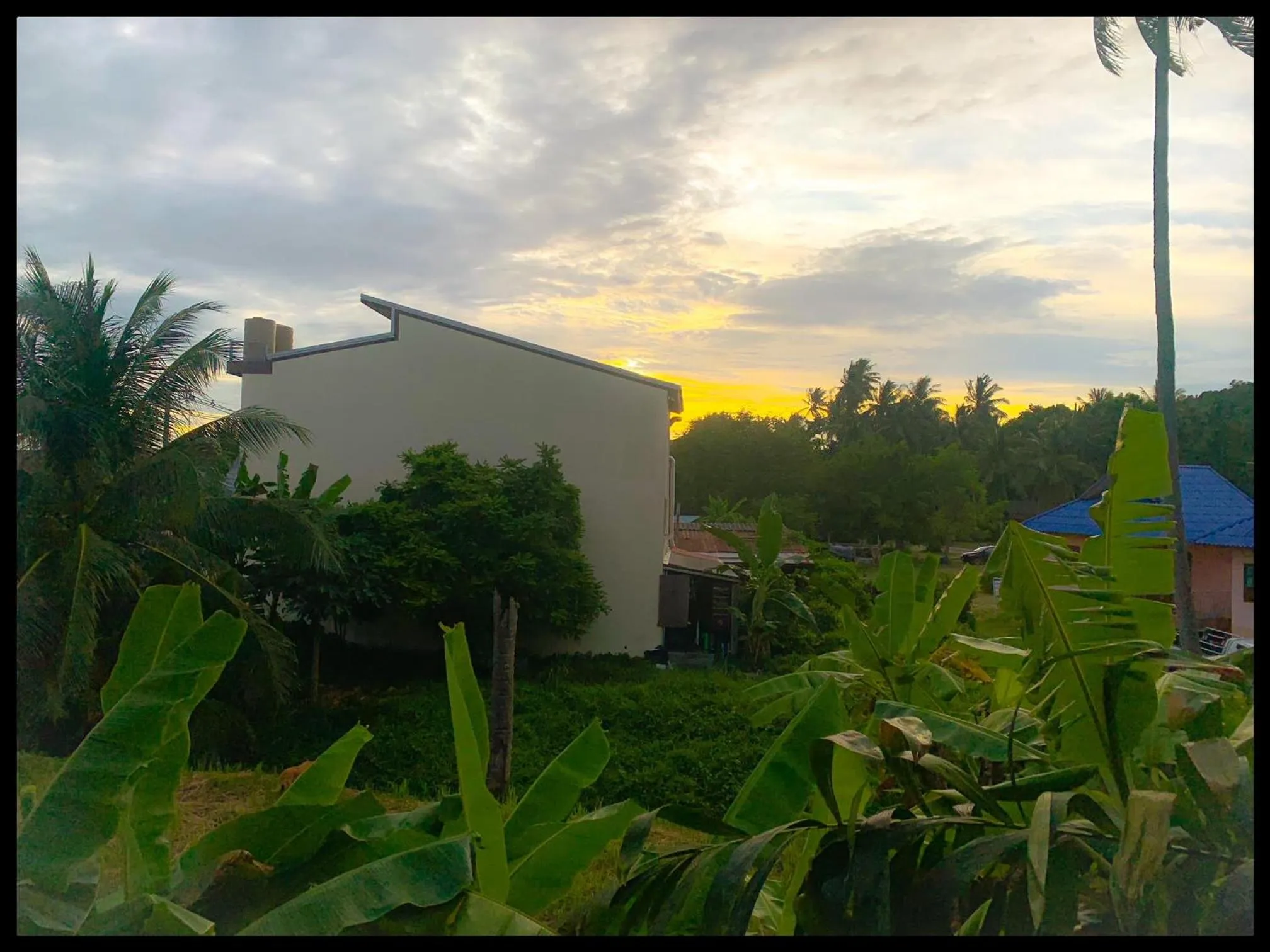 Balcony/Terrace in See Sea Backpackers House