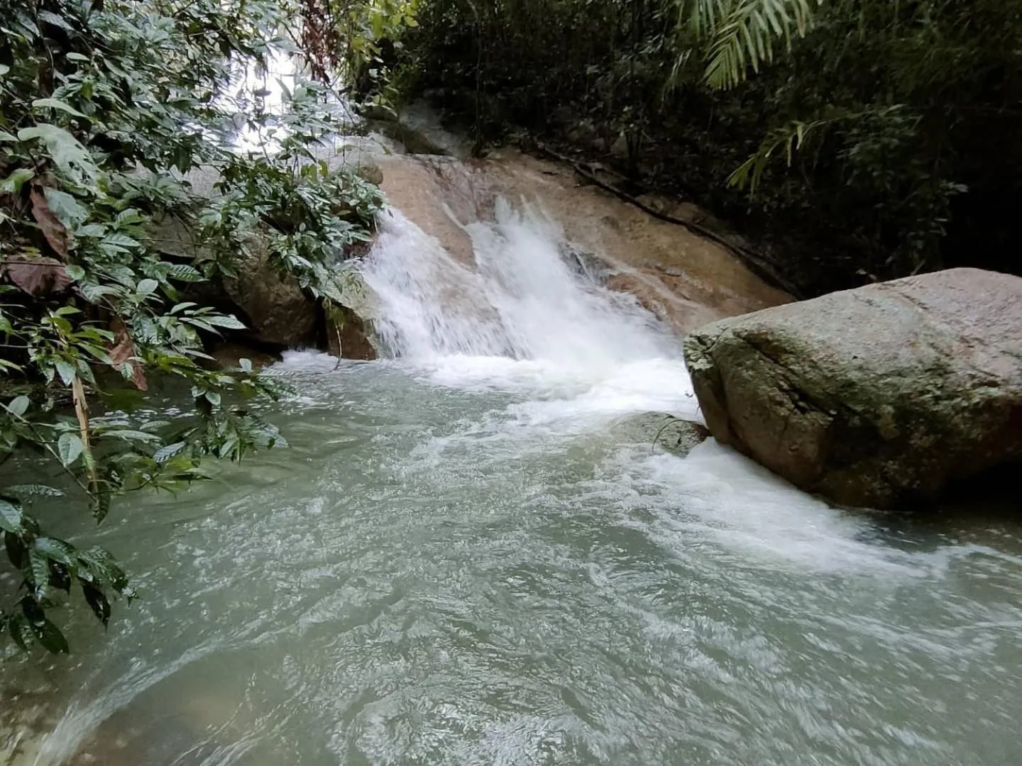 Natural landscape in Thap Pala Cottage