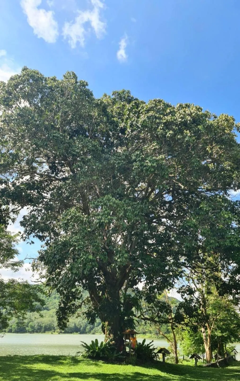 Natural landscape in Thap Pala Cottage