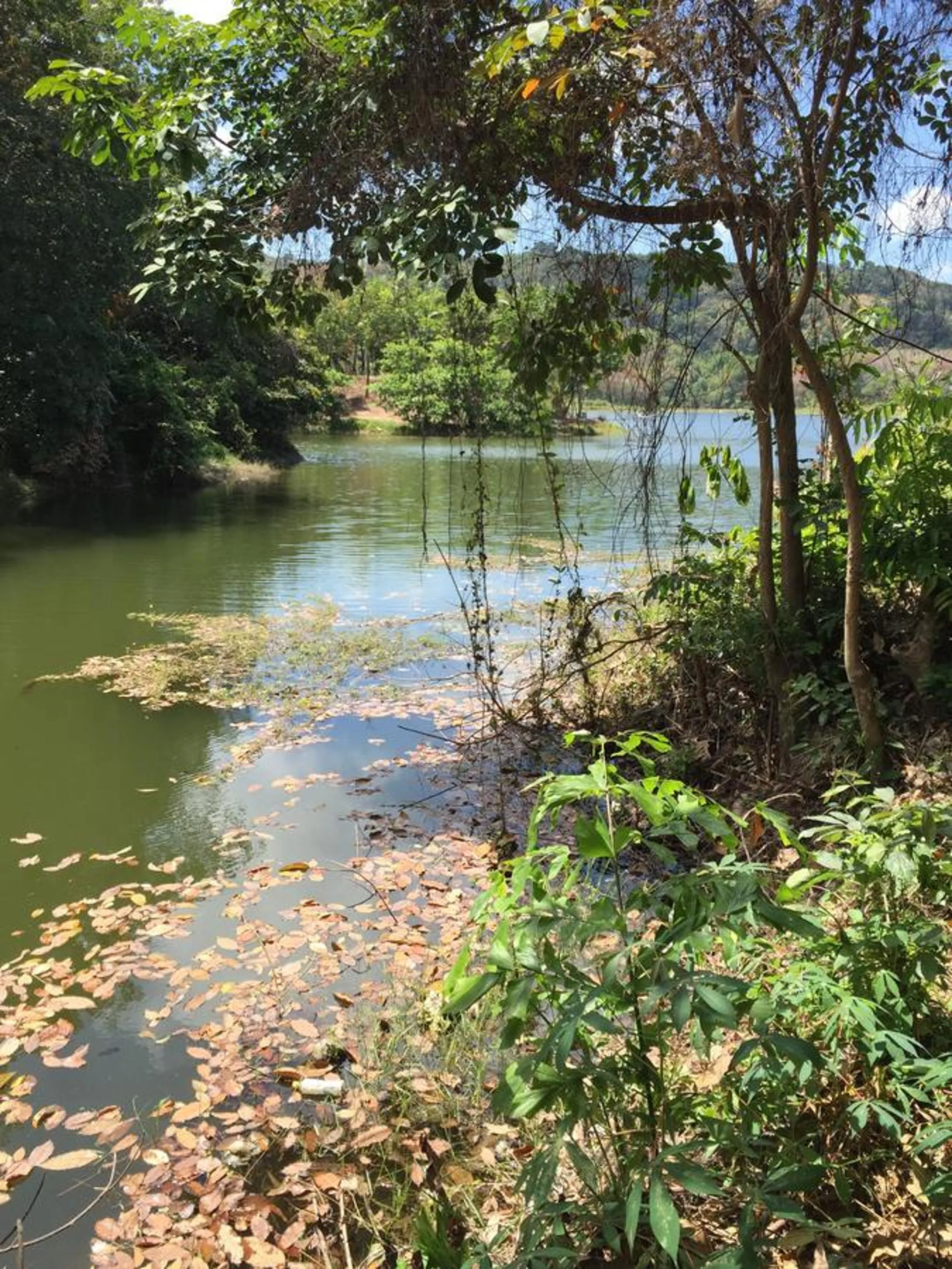 Autumn in Thap Pala Cottage