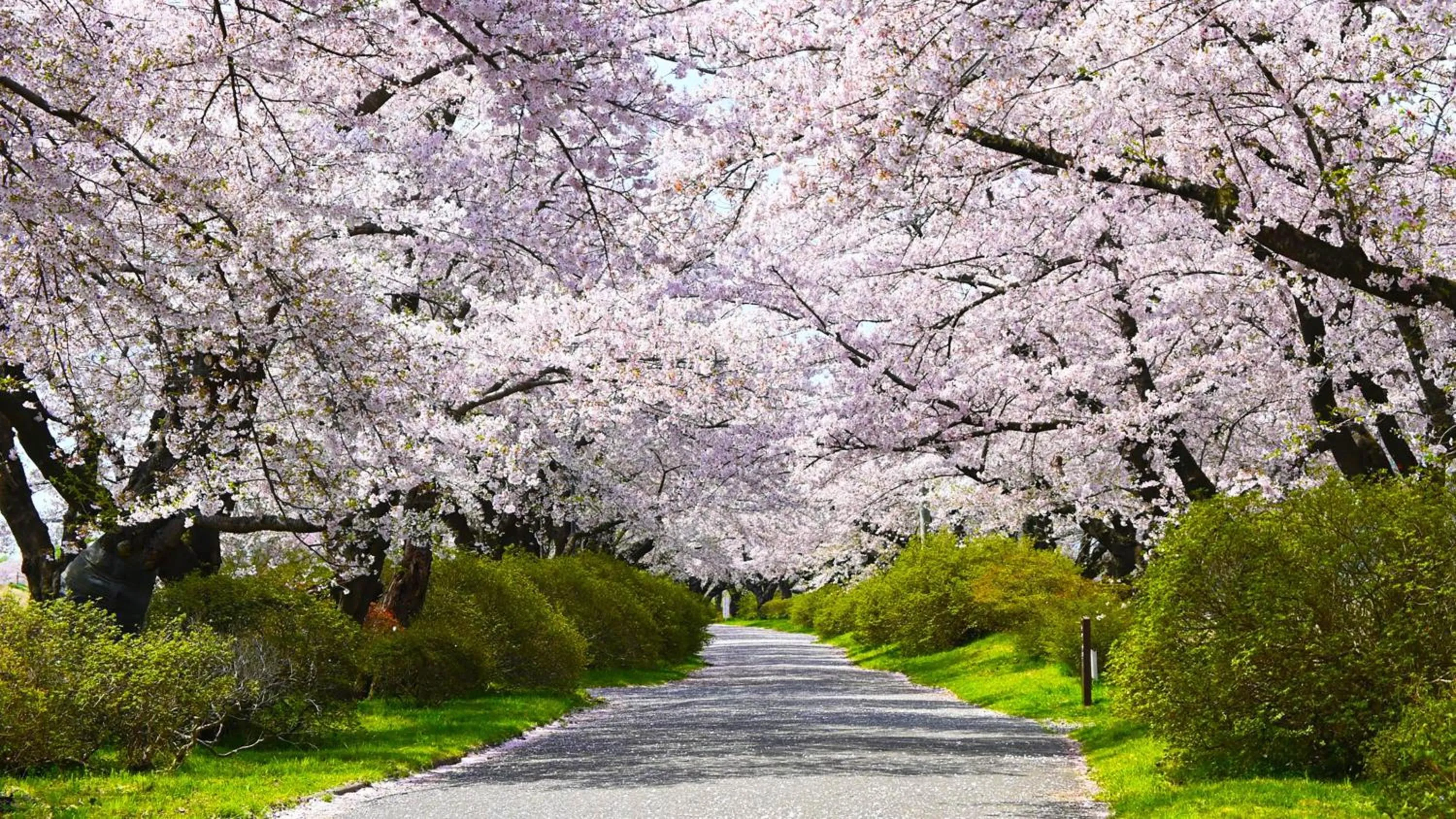 Nearby landmark in ANA Holiday Inn Iwate Kitakami by IHG