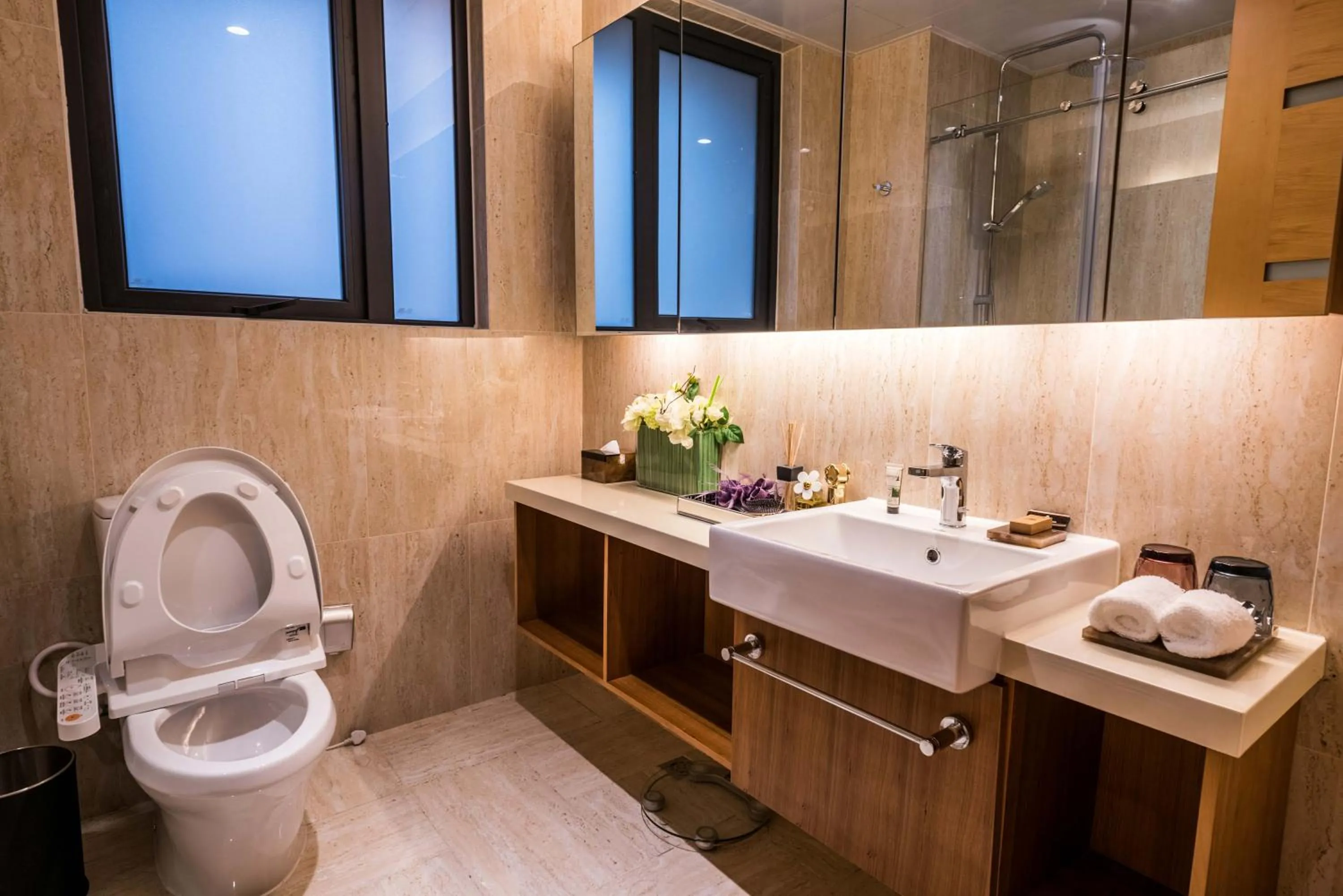 Toilet in Green Court Place Jingqiao Middle Ring Shanghai