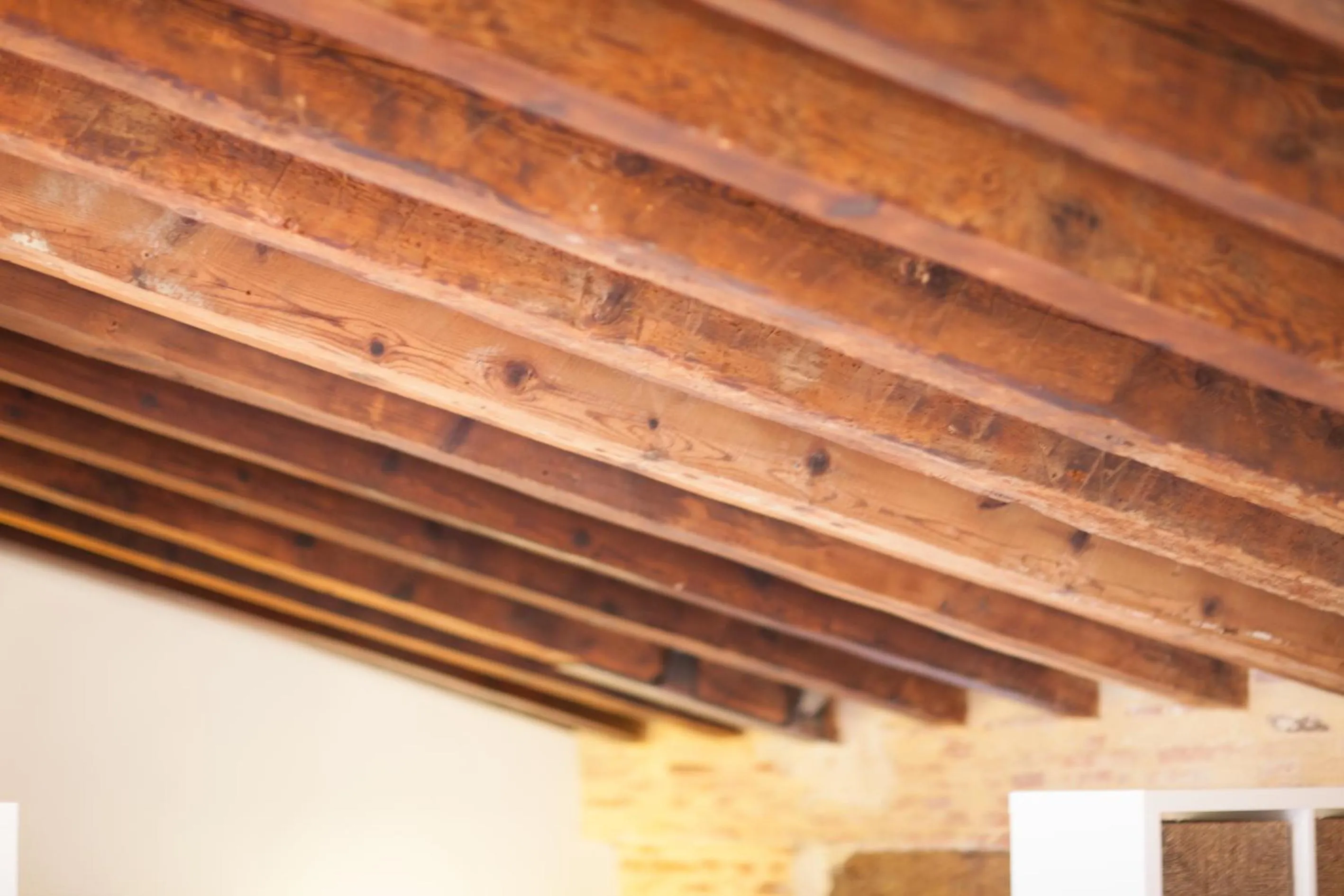 Decorative detail in Host & Home