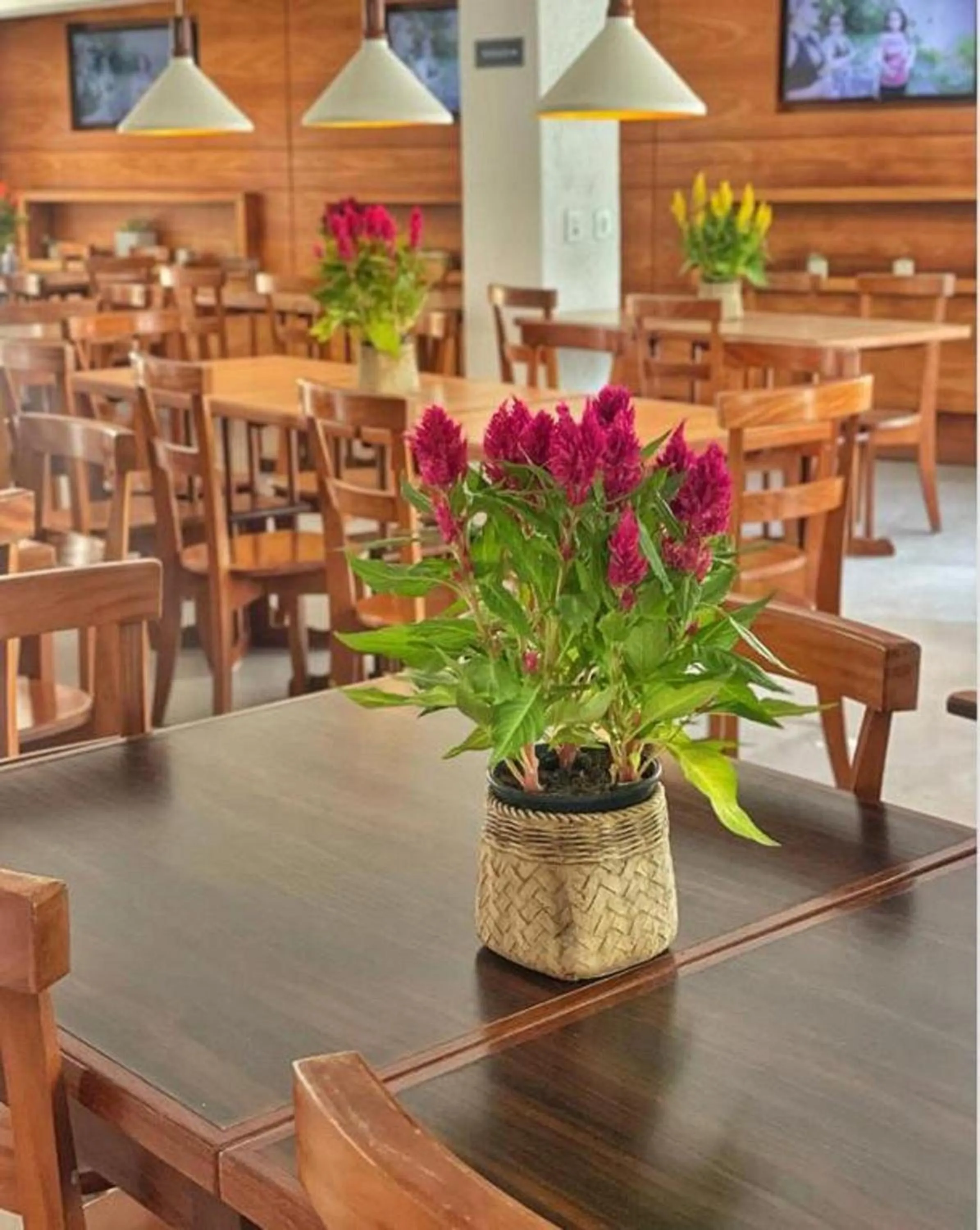 Restaurant/places to eat in Hotel Espadarte