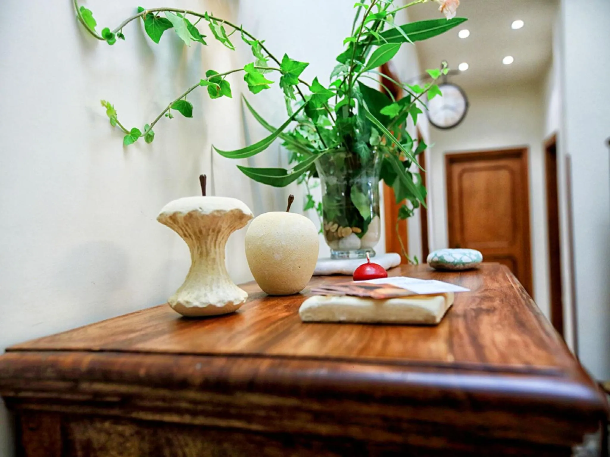 Garden in Kalinikta B&B