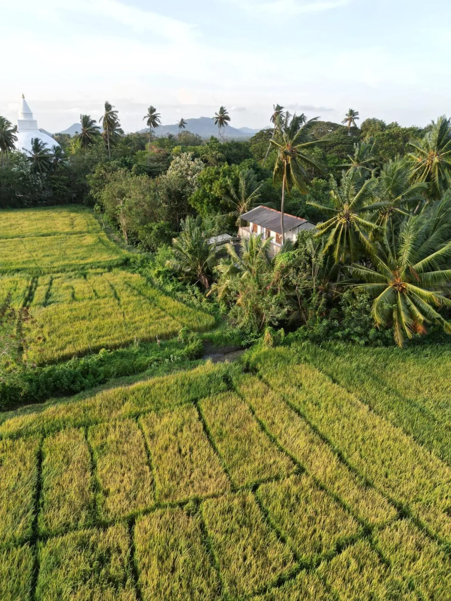 Viveka Inn Guest and Yala Safari