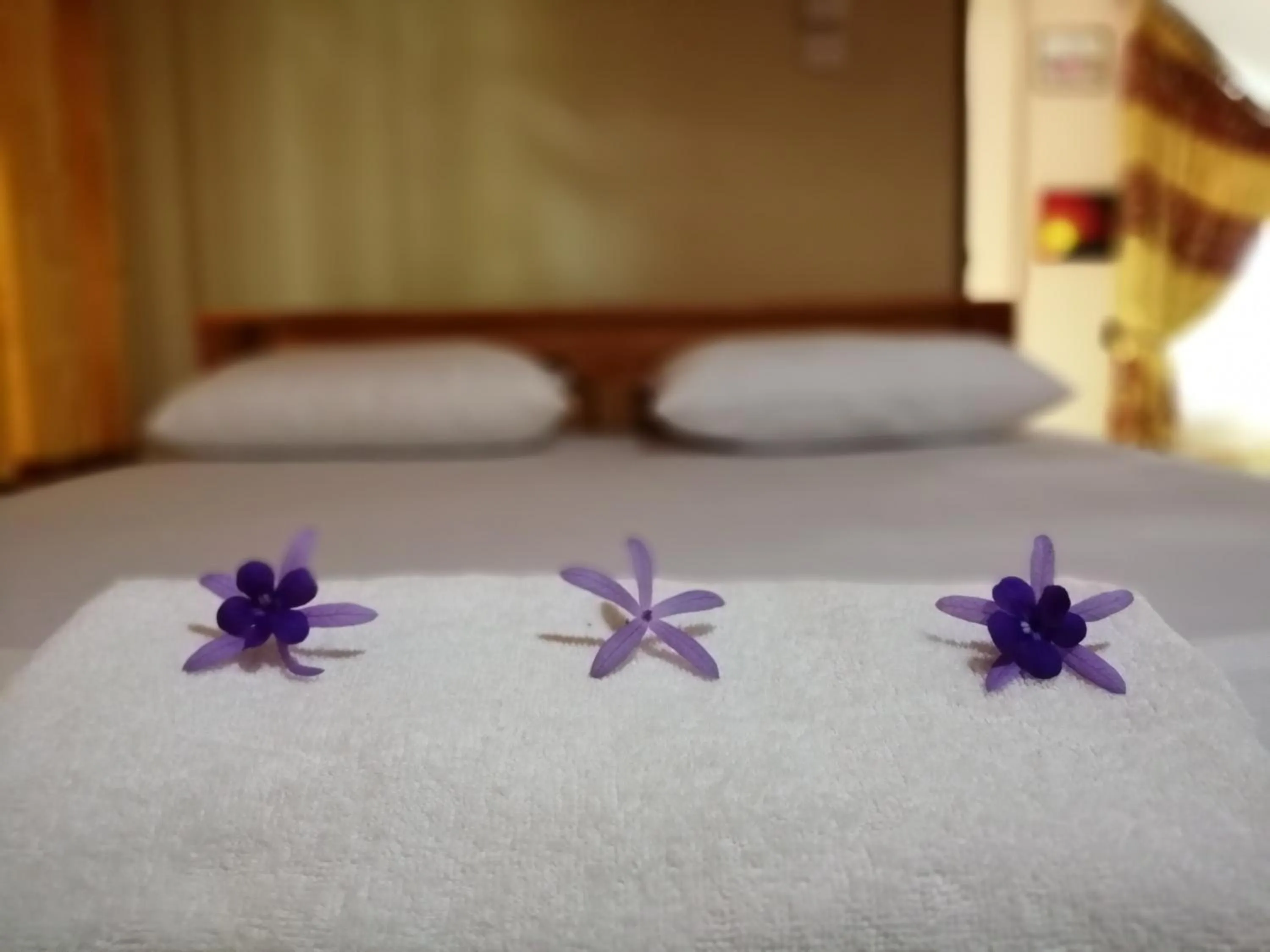 Bed in Viveka Inn Guest and Yala Safari