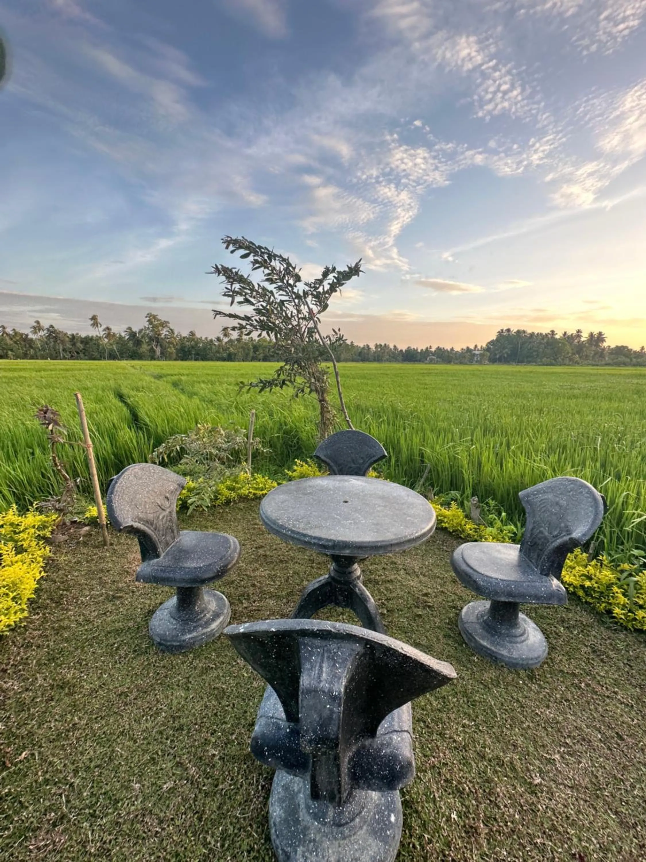 Viveka Inn Guest and Yala Safari