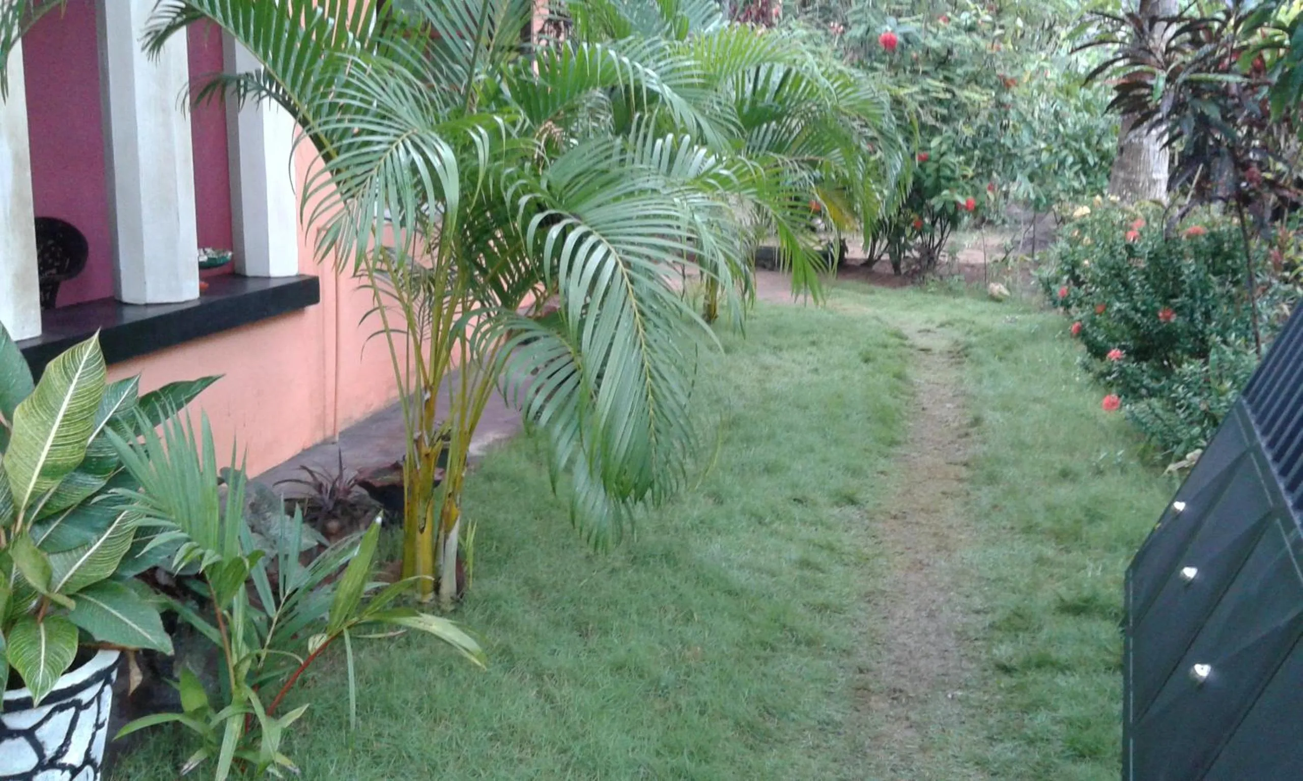 Garden in White Guest