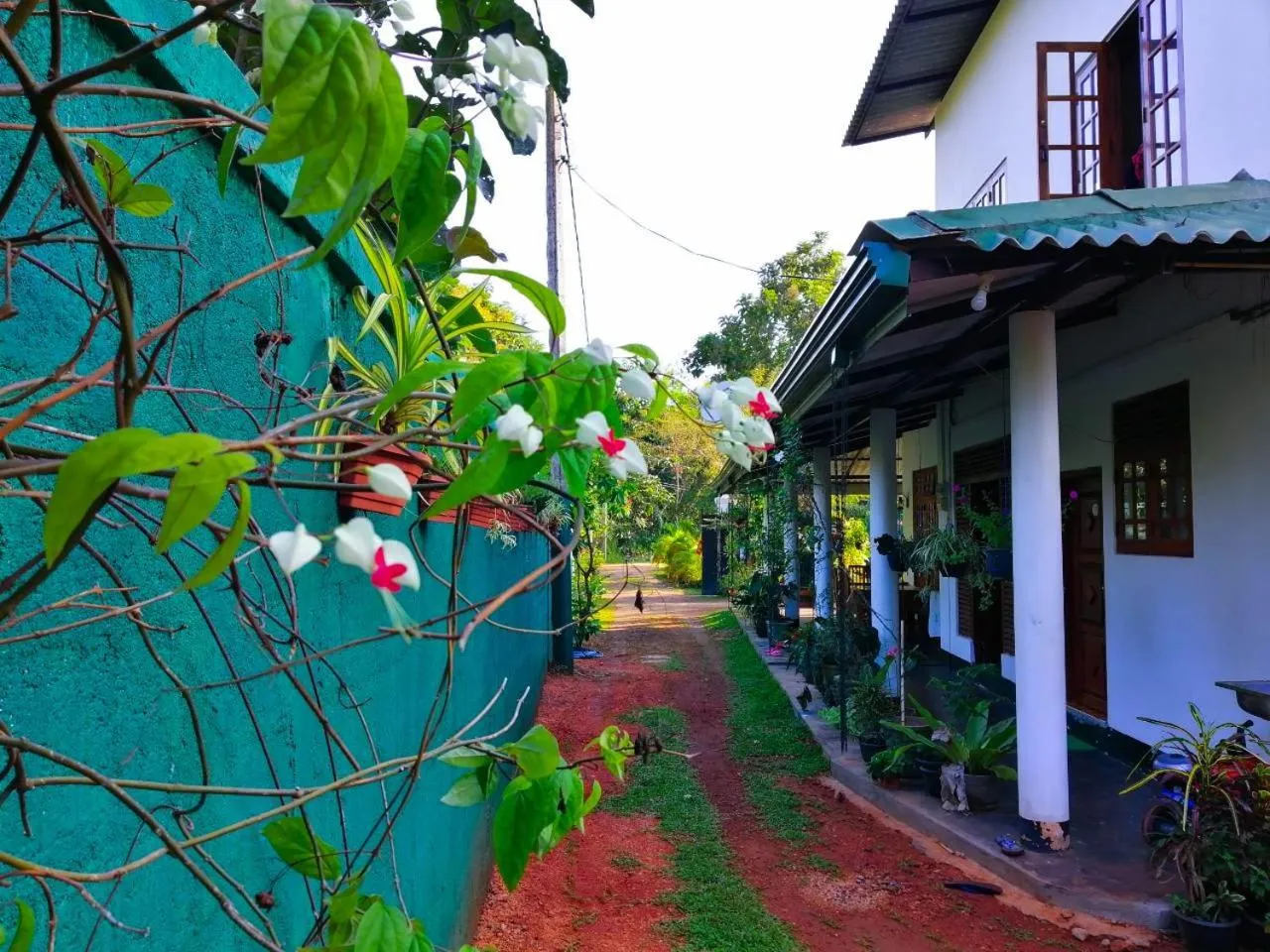 Property building in White Guest