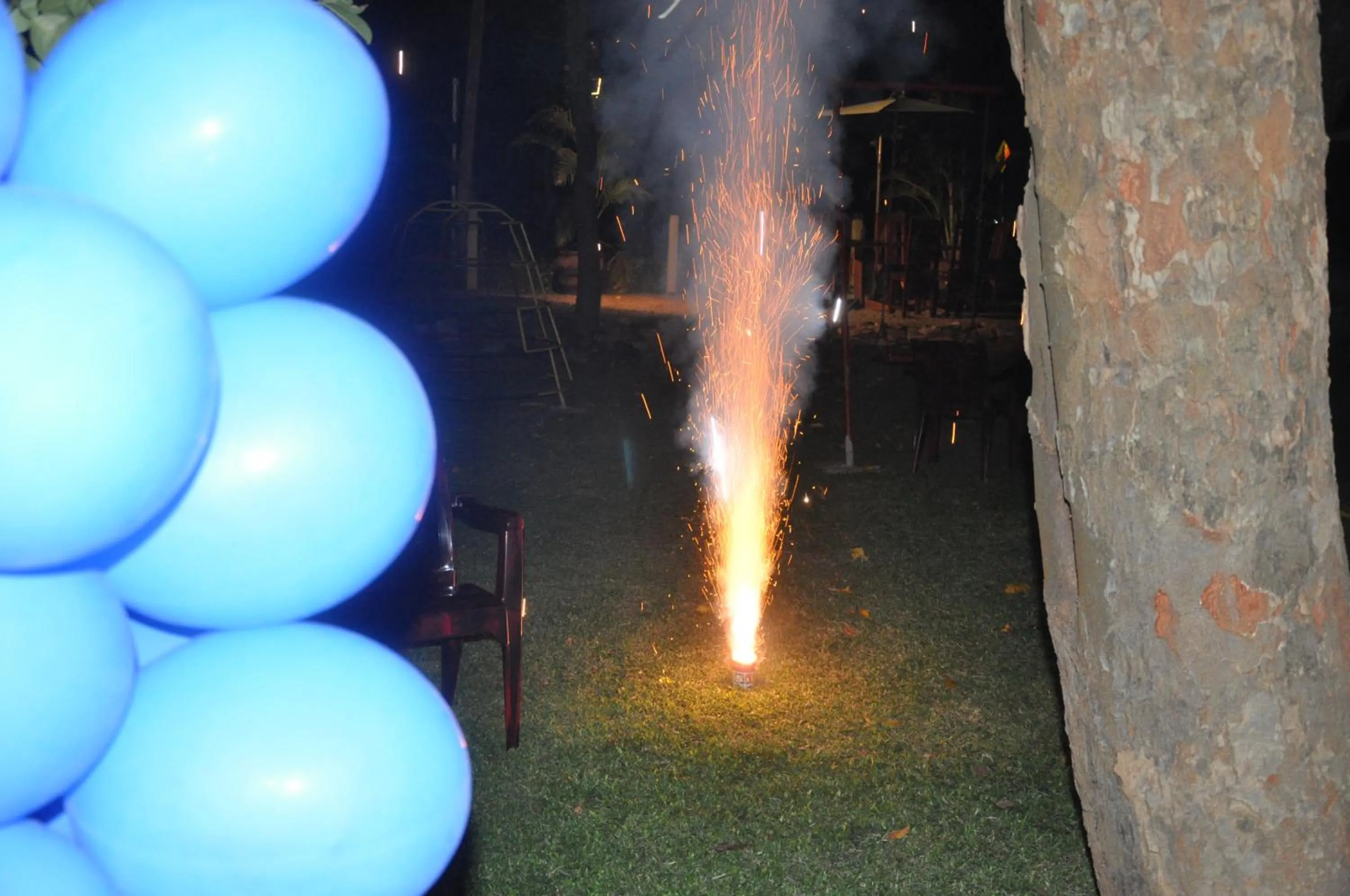 Activities in White Guest