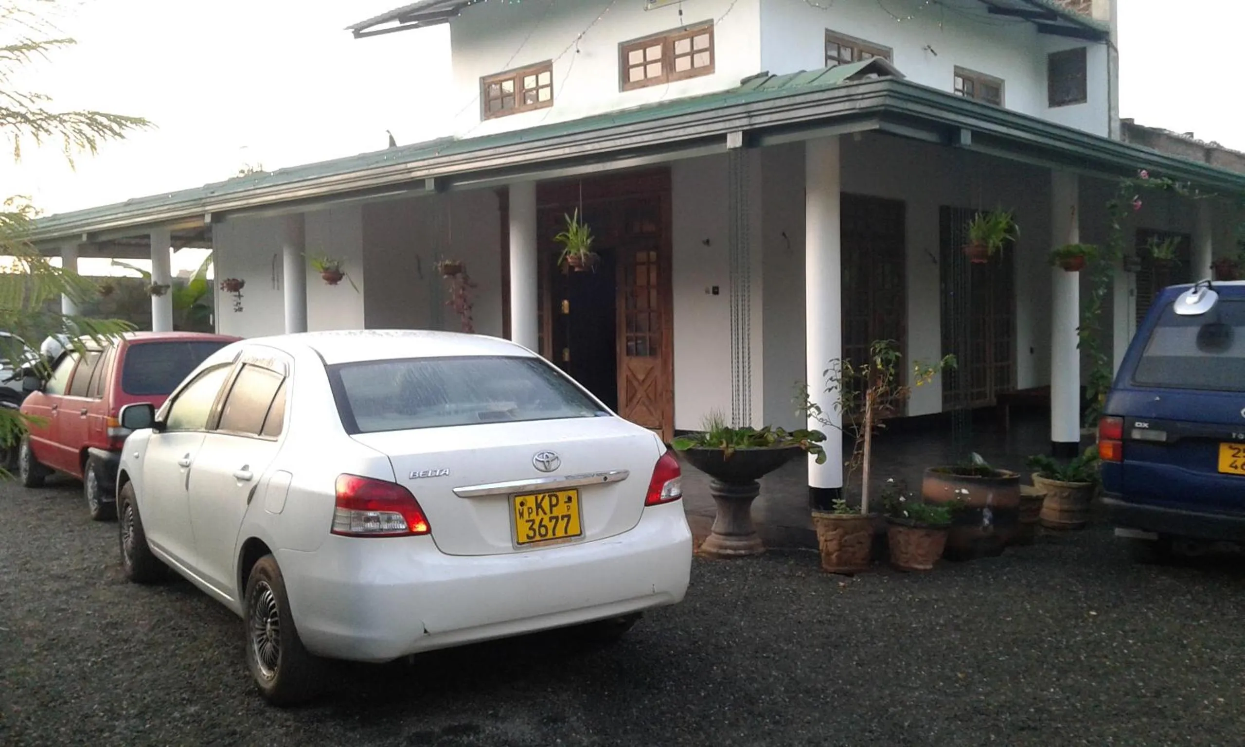 On site in White Guest