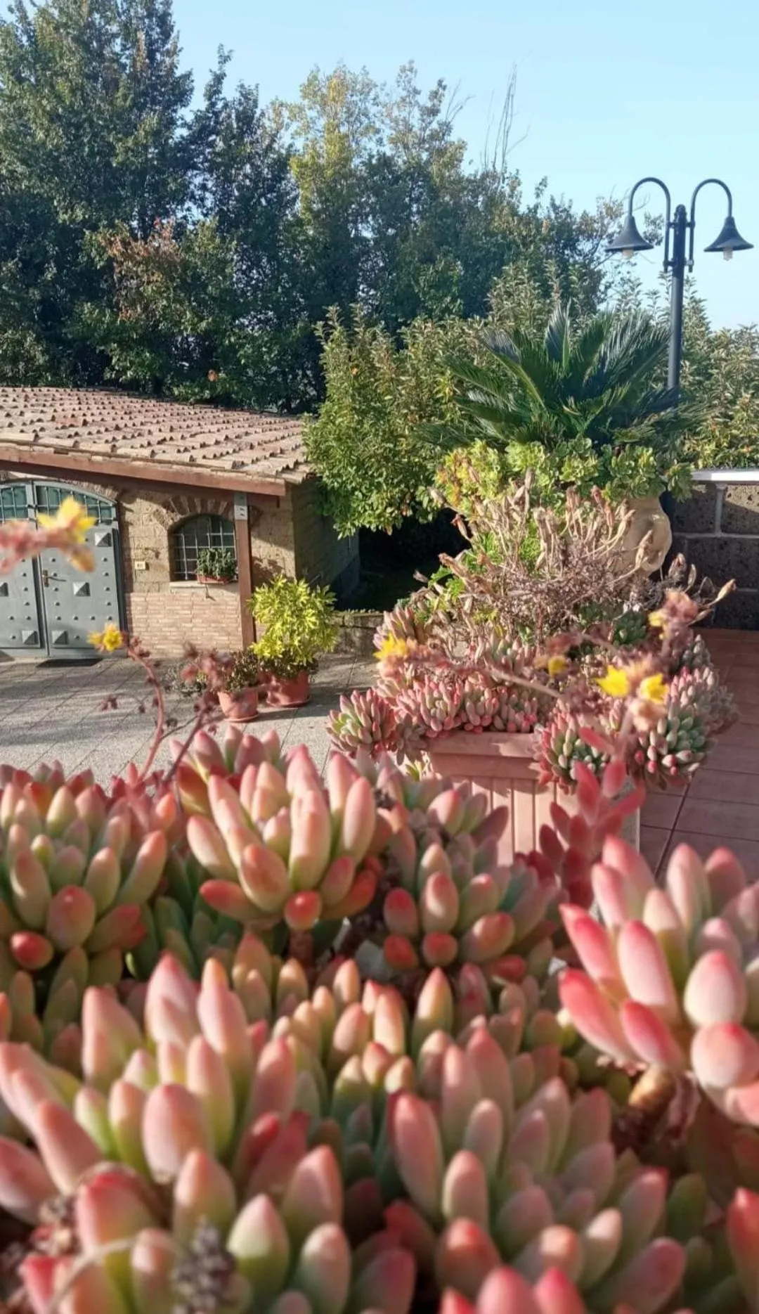 Property building in La Casa Sull'aia,AV