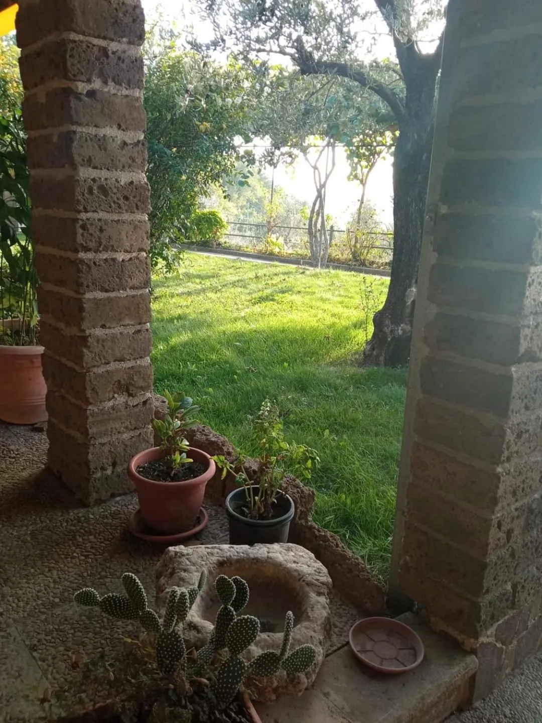 Garden in La Casa Sull'aia,AV