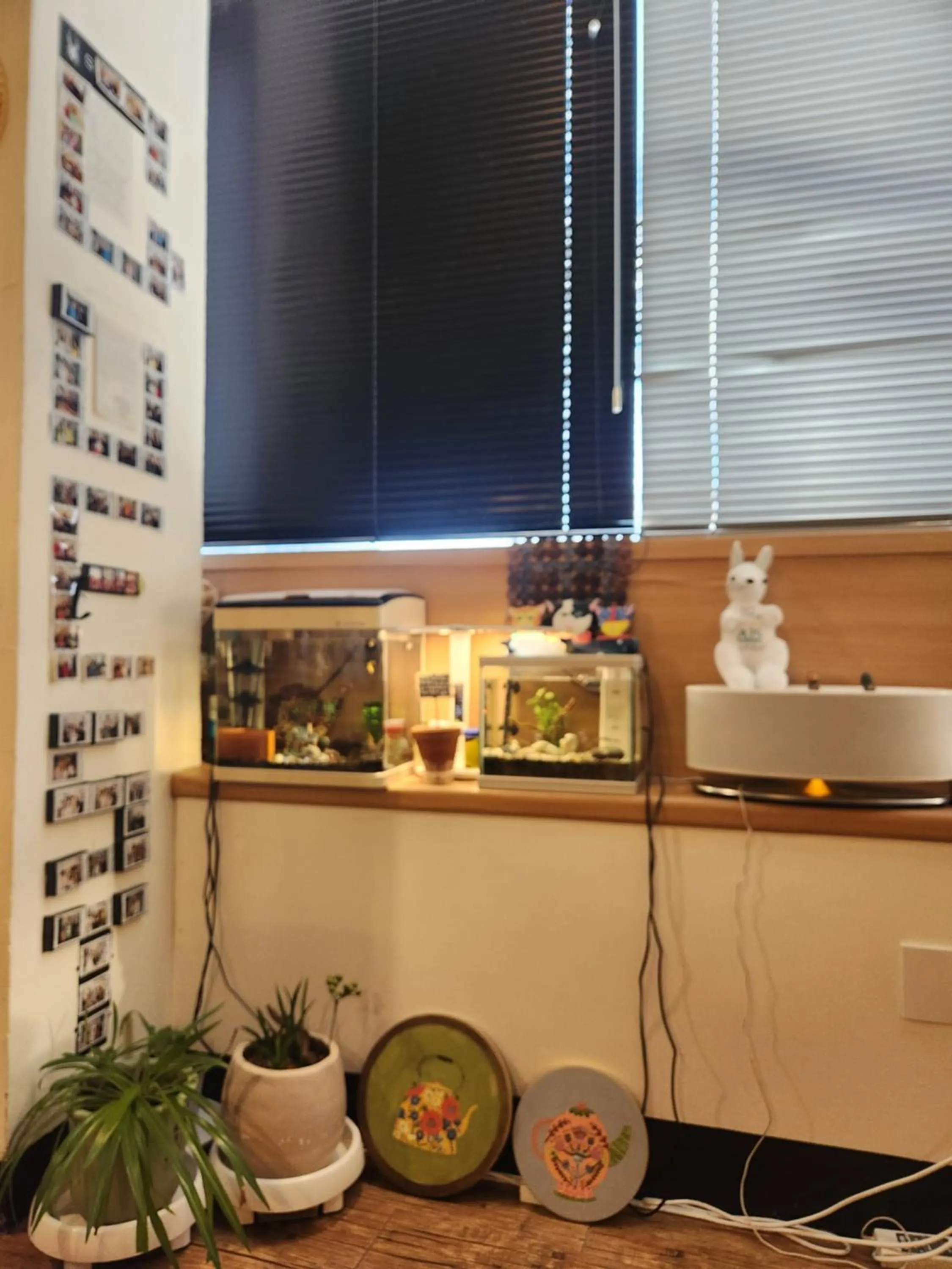 Property building in Sokcho & Guesthouse