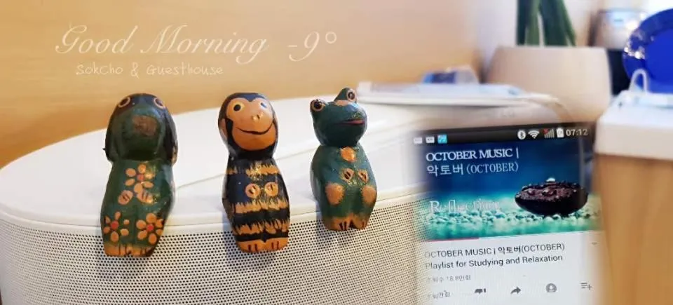 Area and facilities in Sokcho & Guesthouse