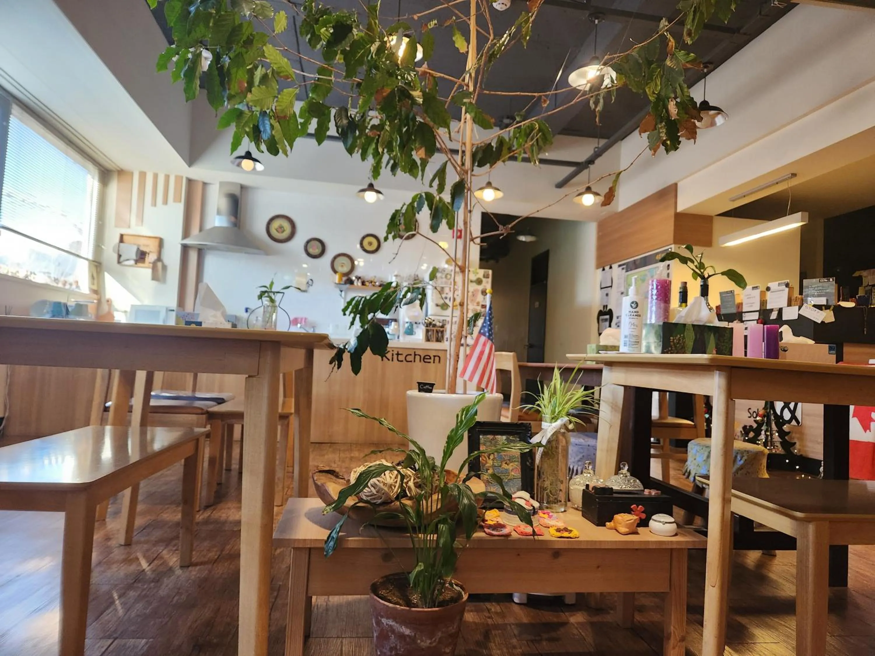 Property building in Sokcho & Guesthouse