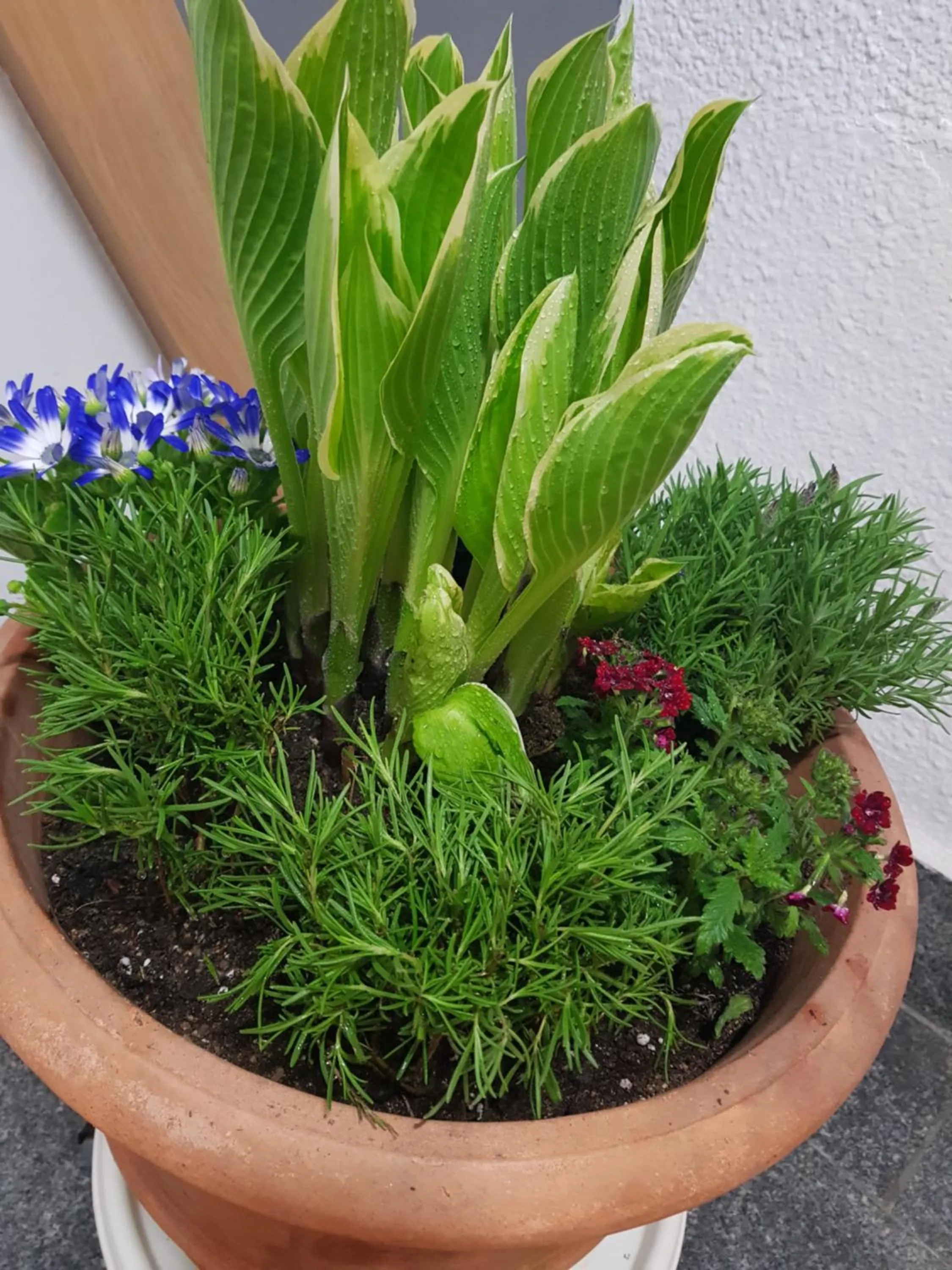 Property building in Sokcho & Guesthouse