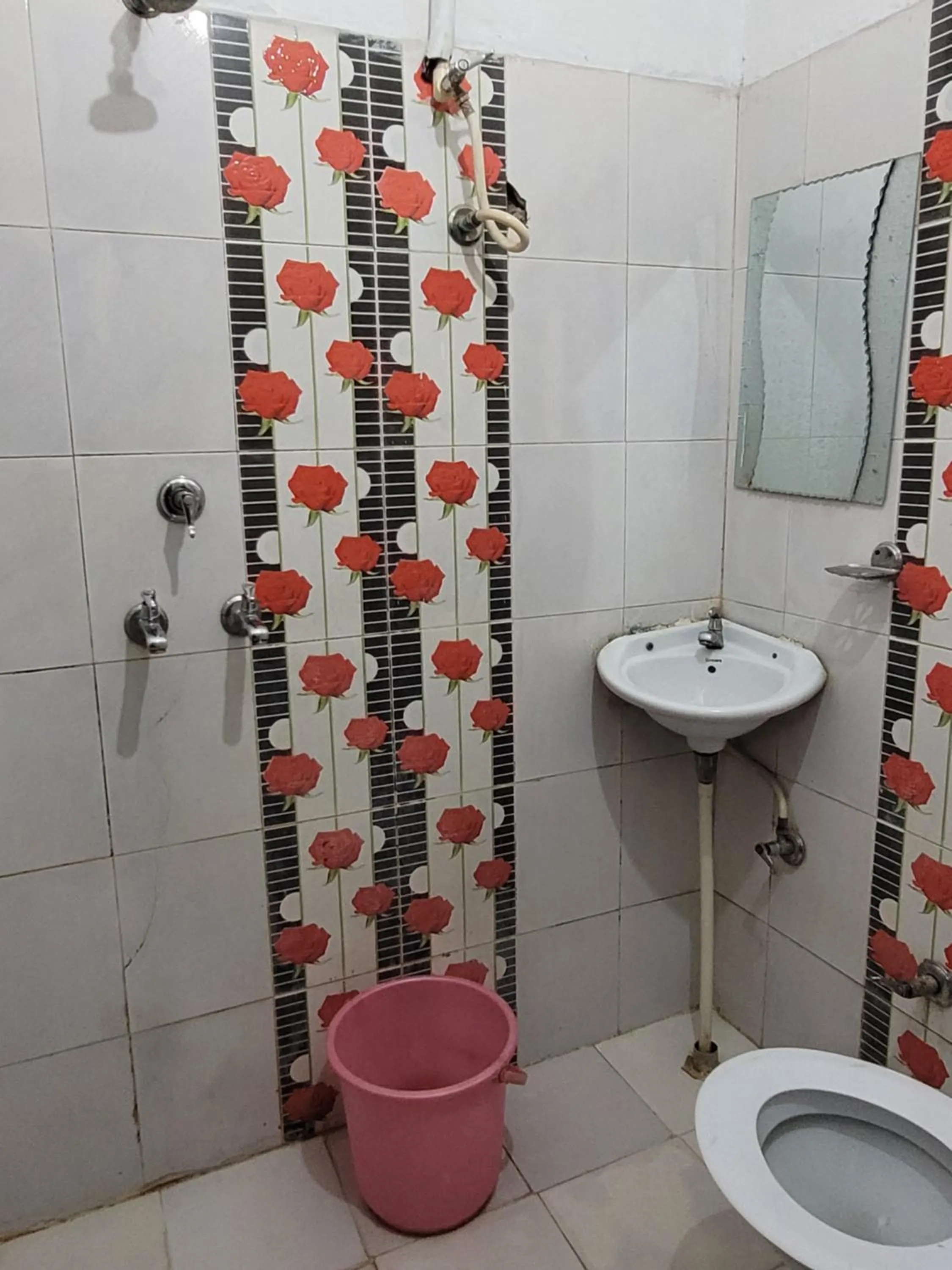 Bathroom in Asha Guest House
