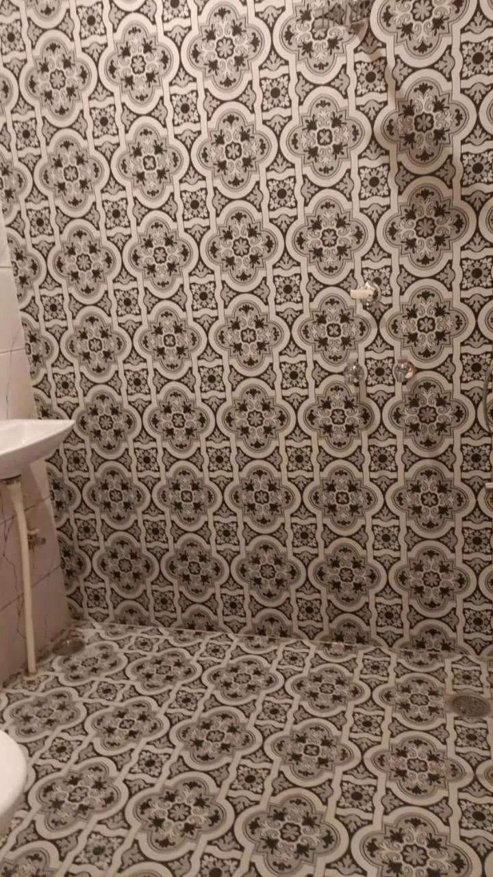 Shower in Asha Guest House