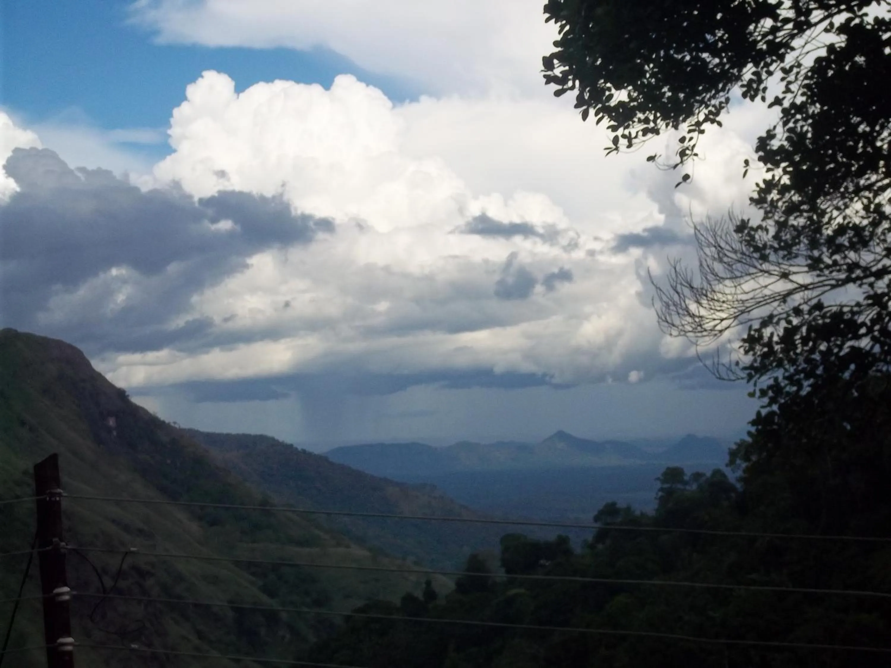 Natural landscape in Welcome Inn