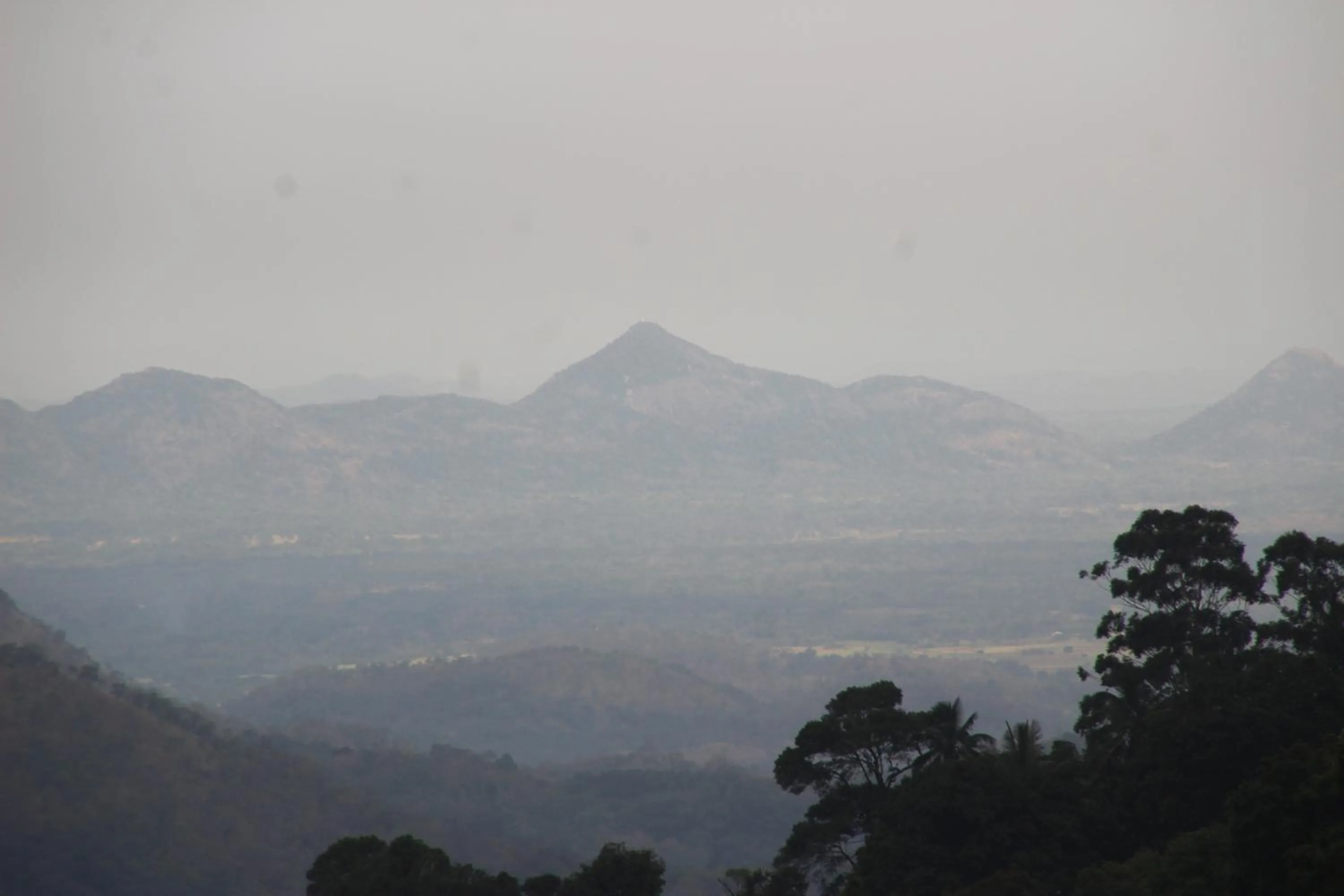 Natural landscape in Welcome Inn