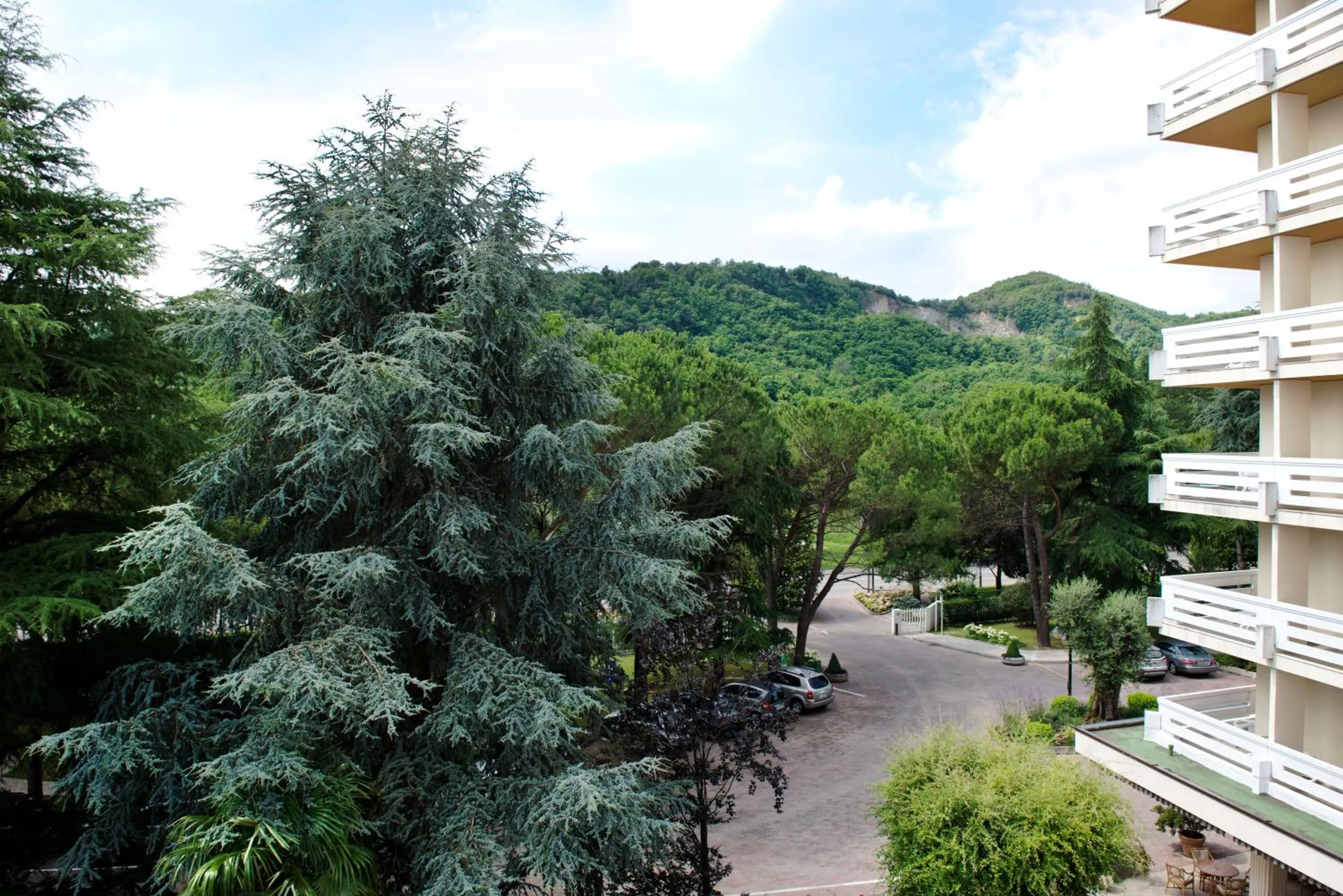 Garden view in Hotel Apollo Terme
