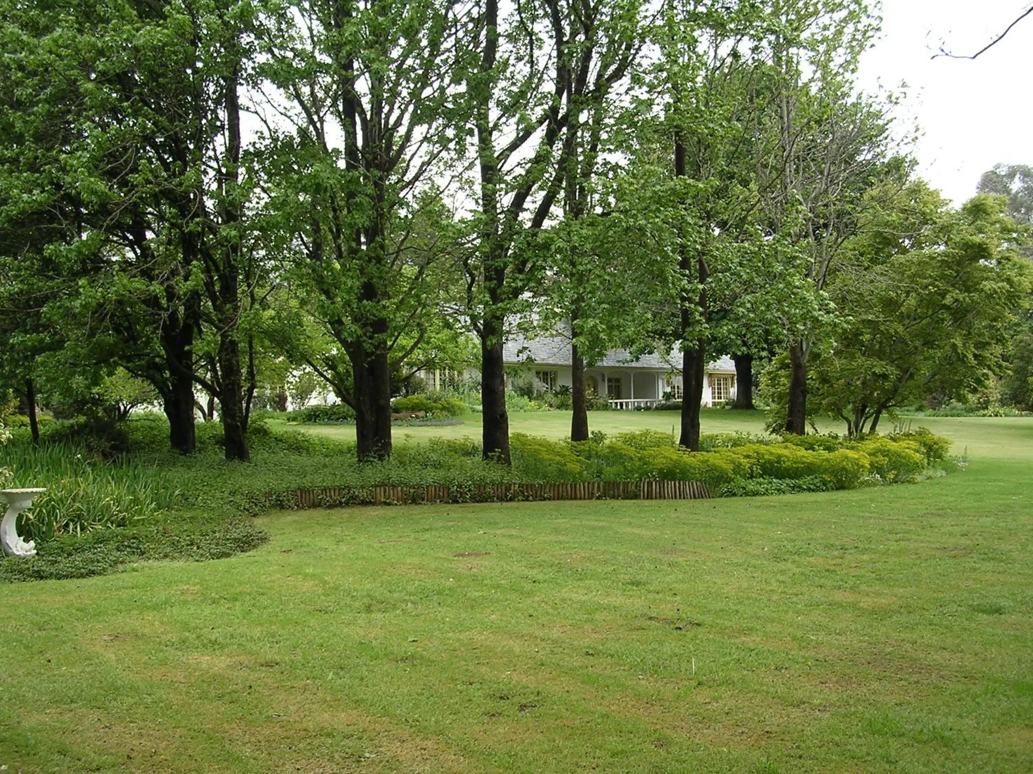 Garden in Cedar Garden