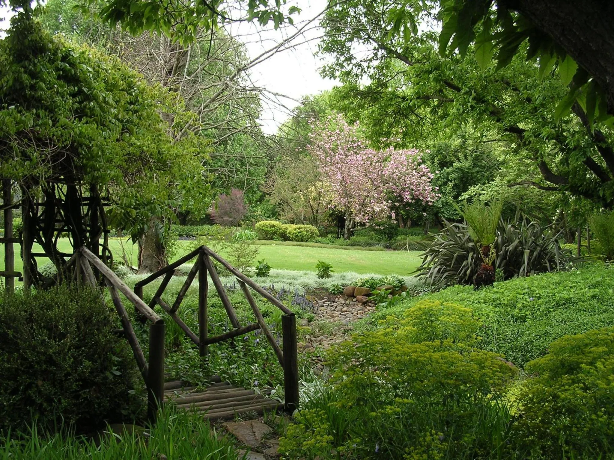 Garden in Cedar Garden