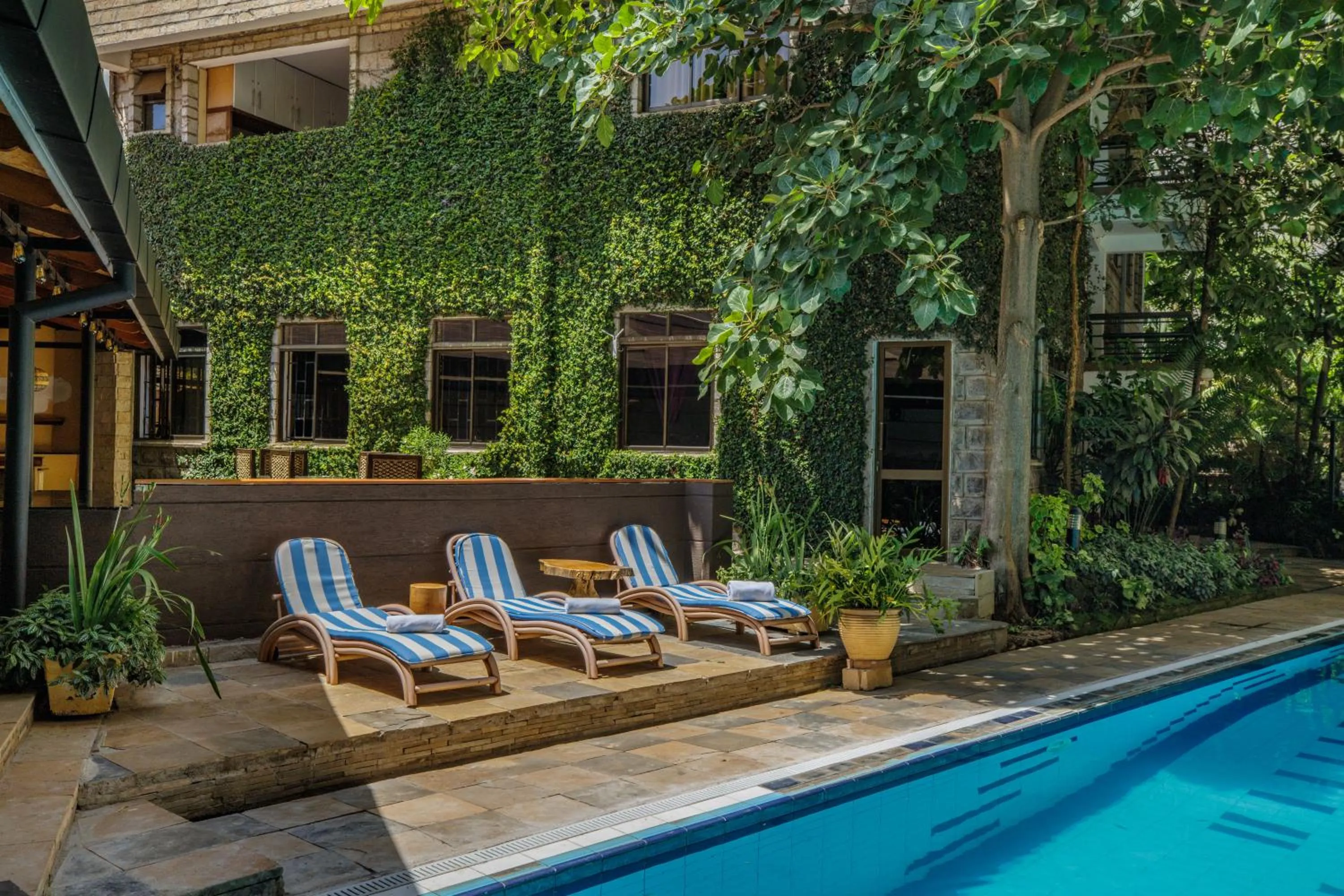 Garden in Kates Apartments