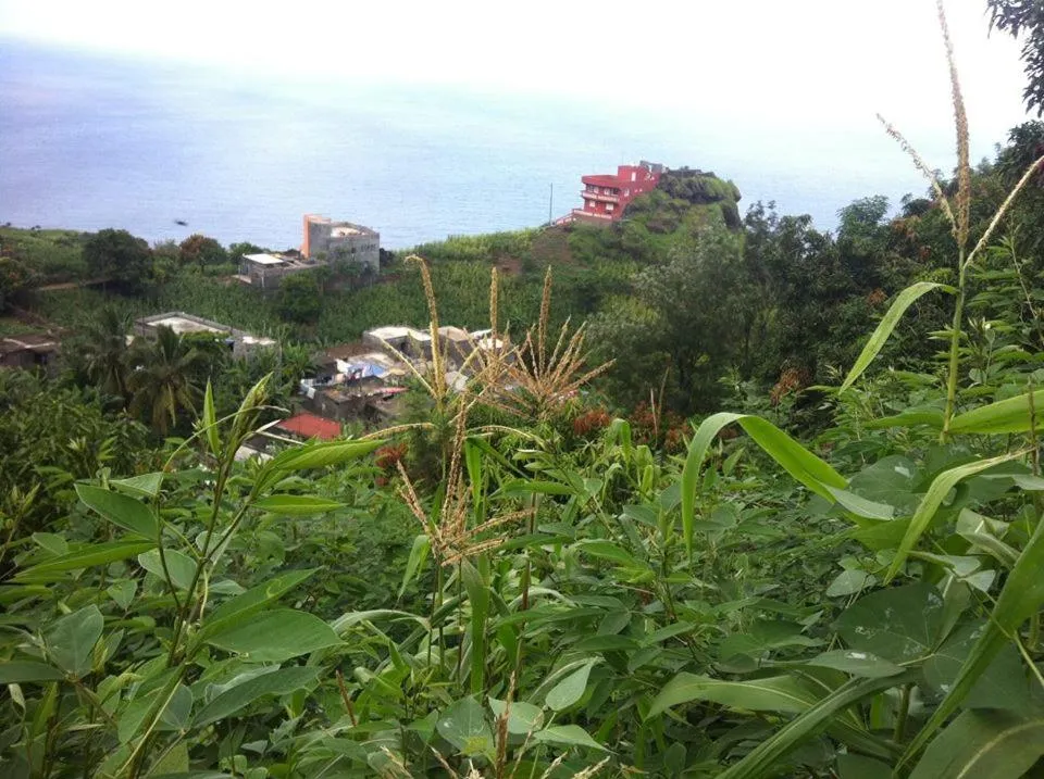Bird's eye view in Gira Lua