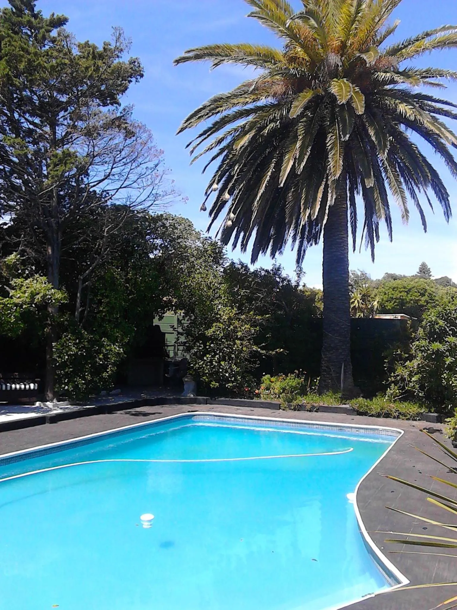 Pool view in Port House