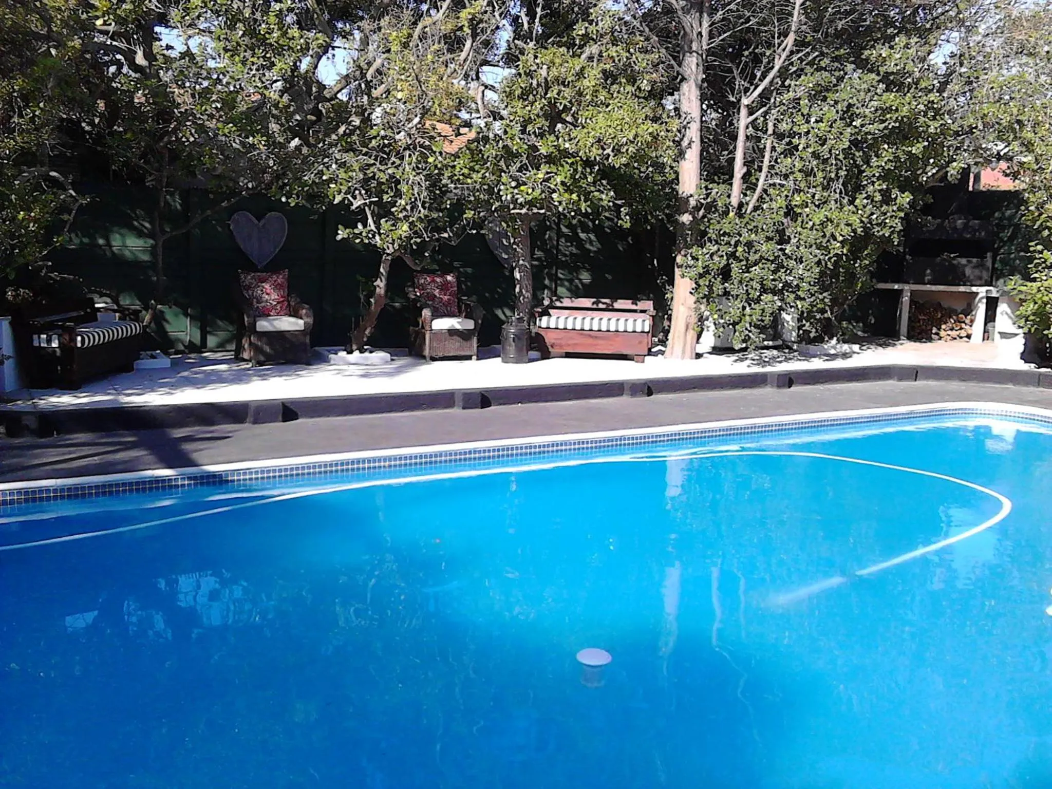 Garden view in Port House