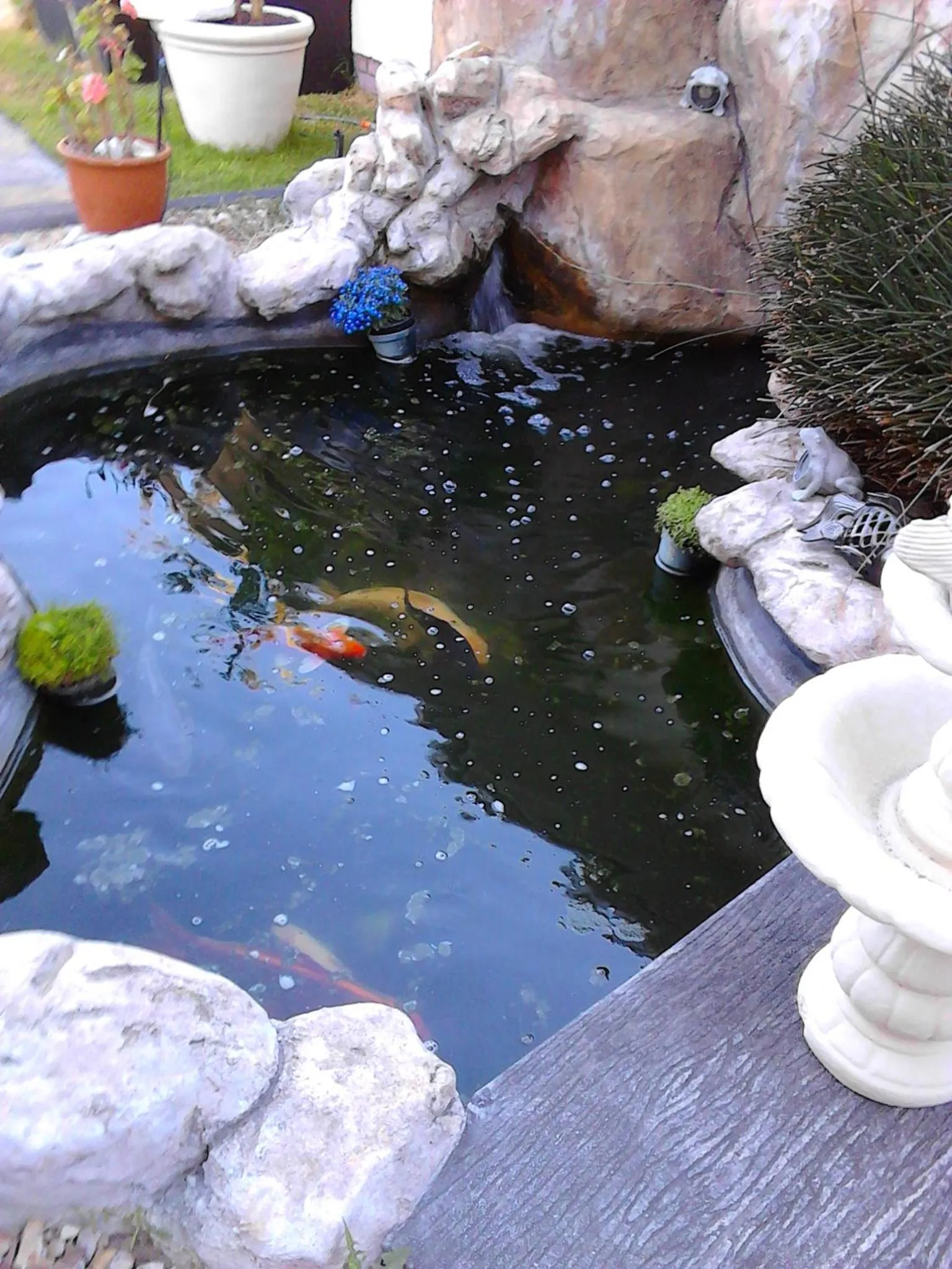 Garden view in Port House