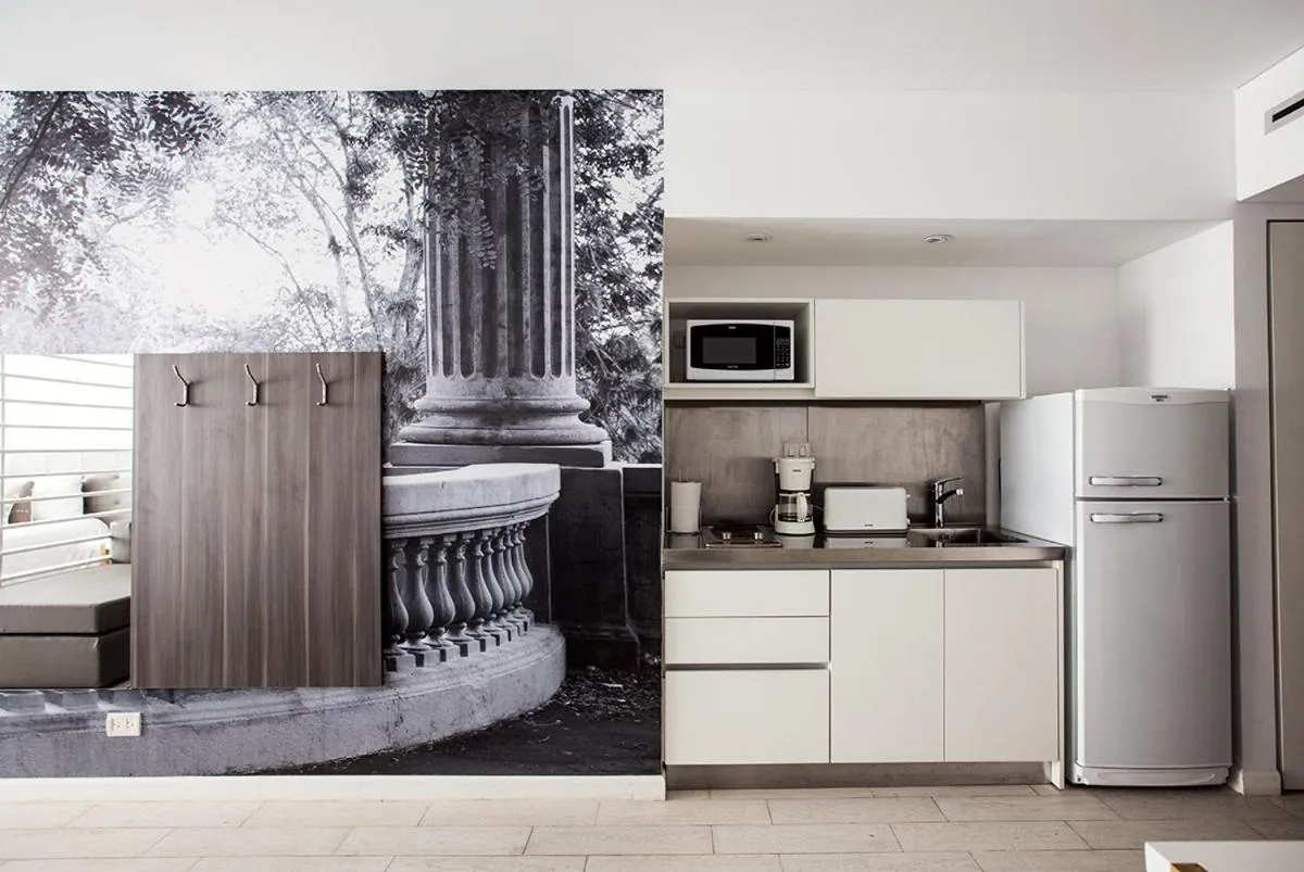 Kitchen or kitchenette in Flaat Recoleta Plaza