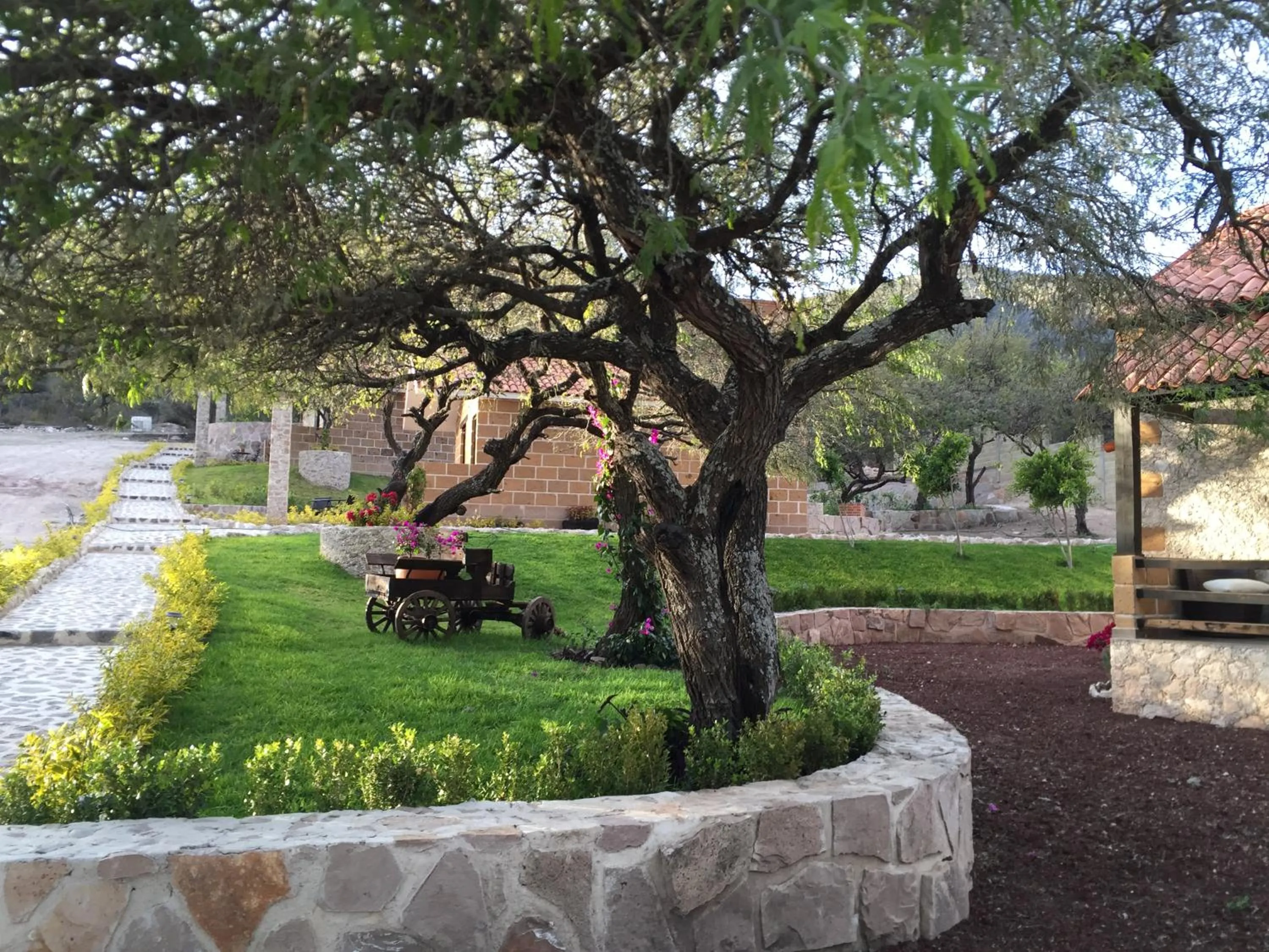 Garden in Cabañas Rancho San Jorge