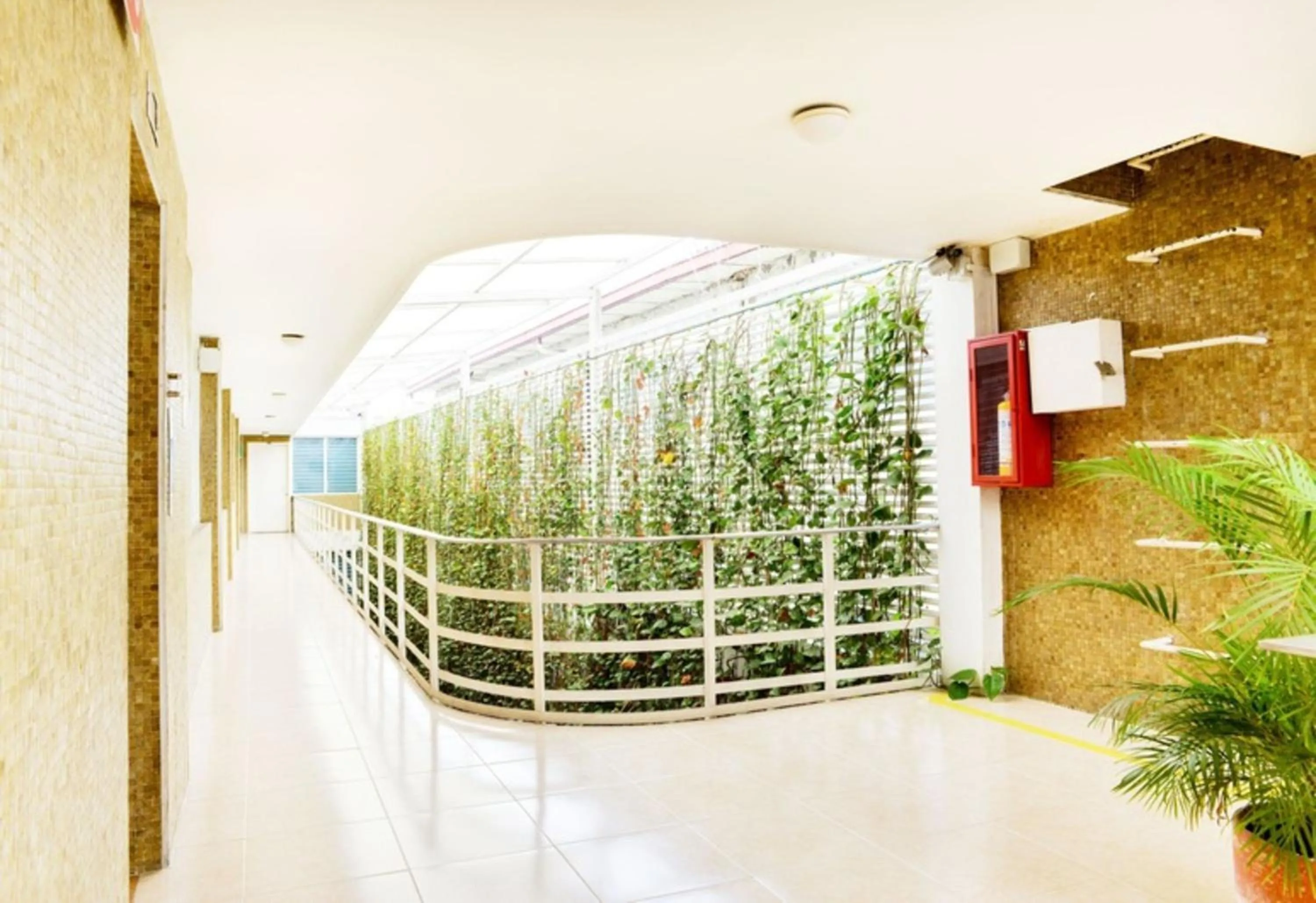 Property building in Hotel Thama