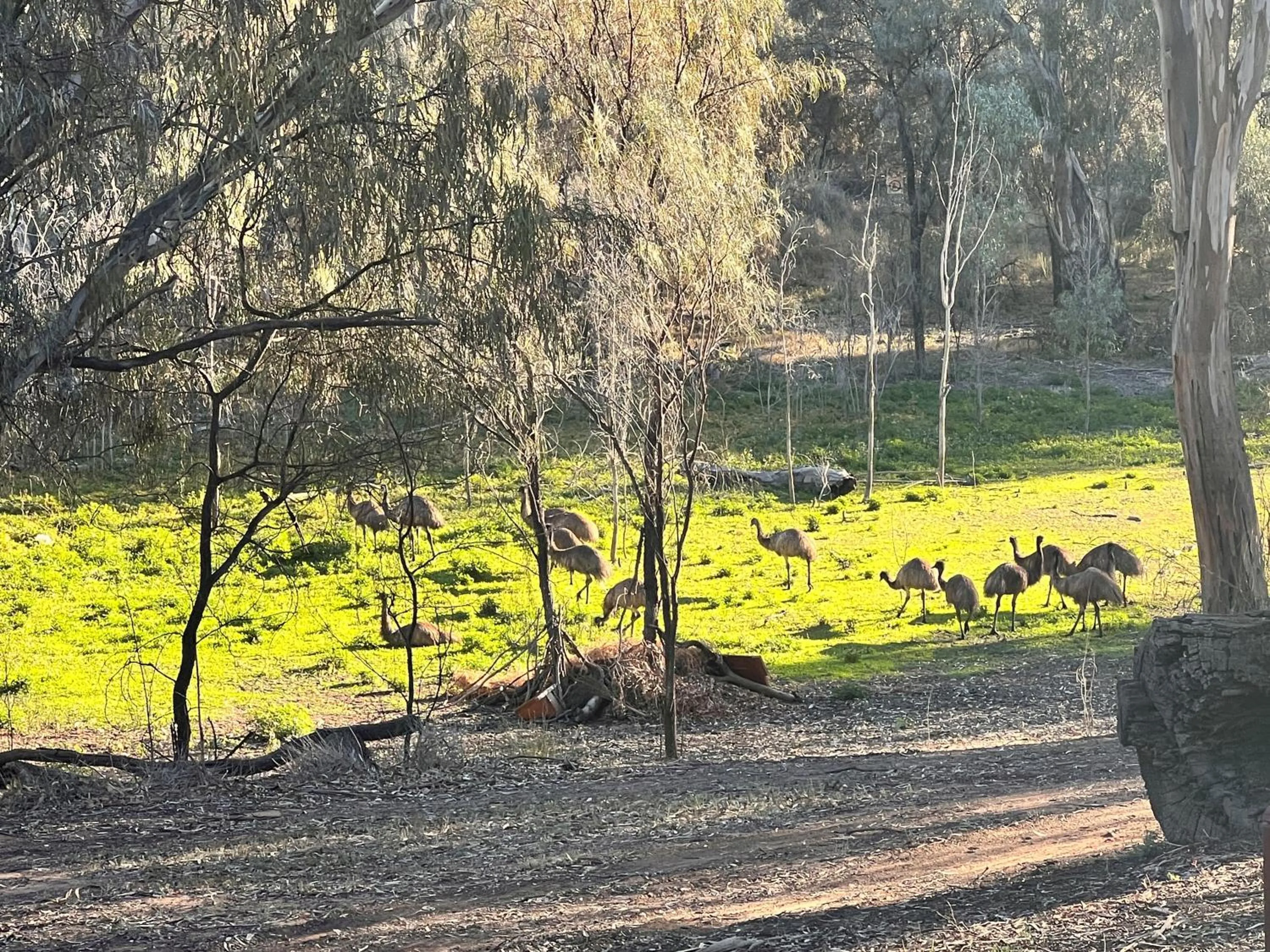 Spring in Two Rivers Motel