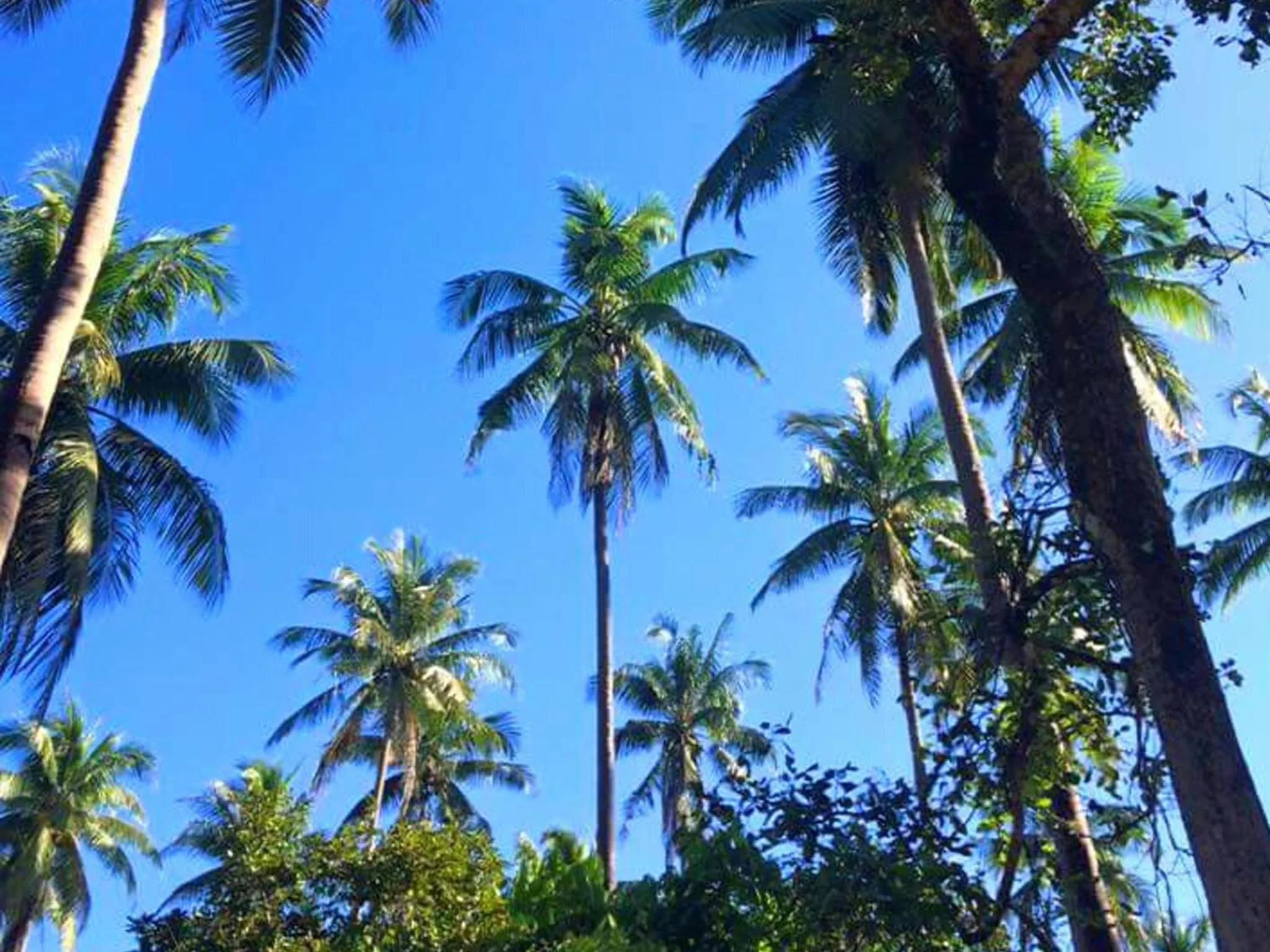 Other in Jurisu Resort