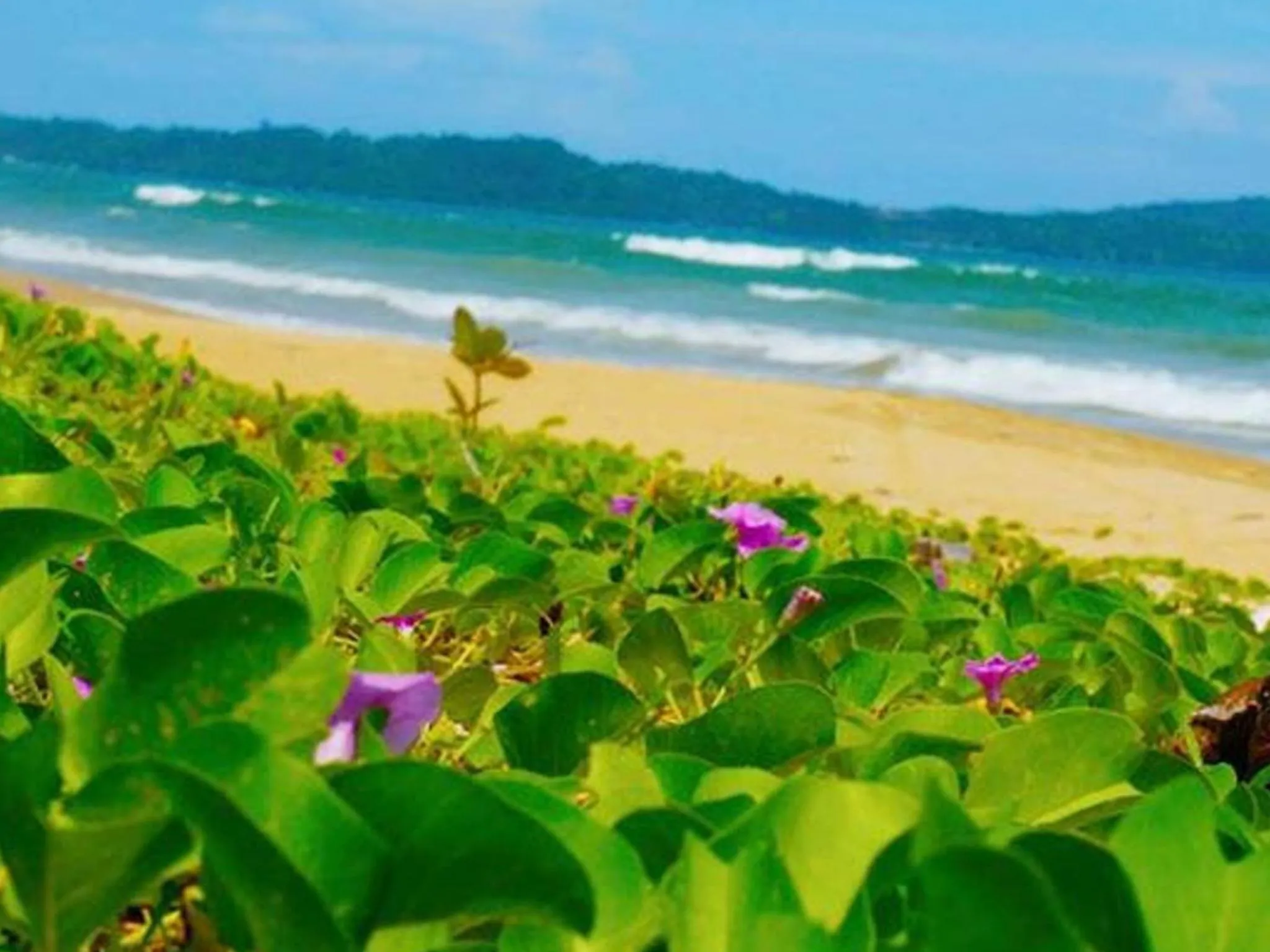 Beach in Jurisu Resort
