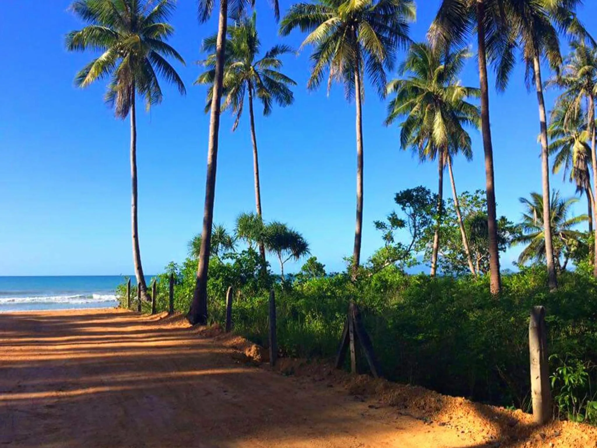 Neighbourhood in Jurisu Resort