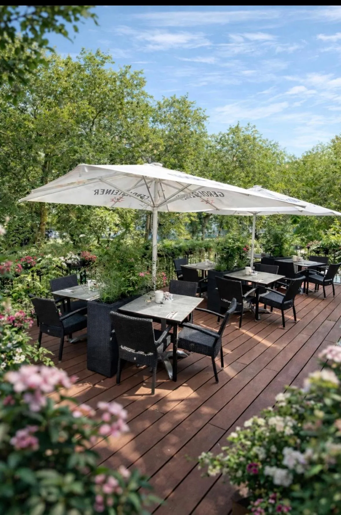 Balcony/Terrace in Hotel am Westend