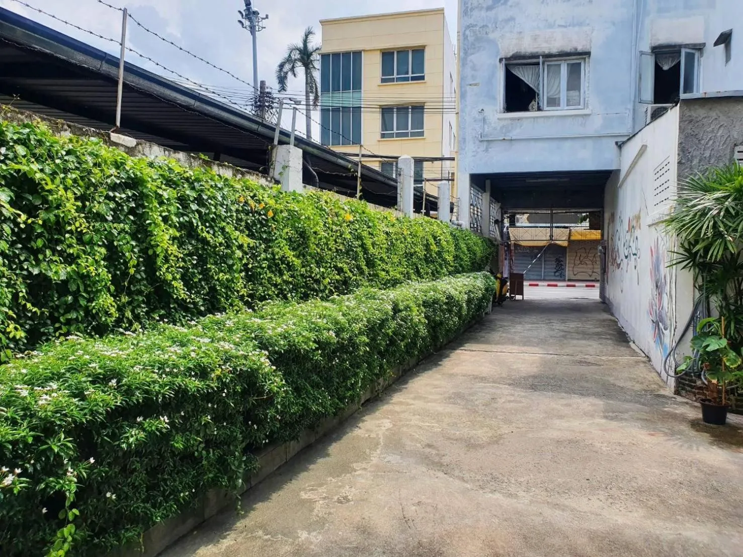 Property building in Dinsomon Hotel